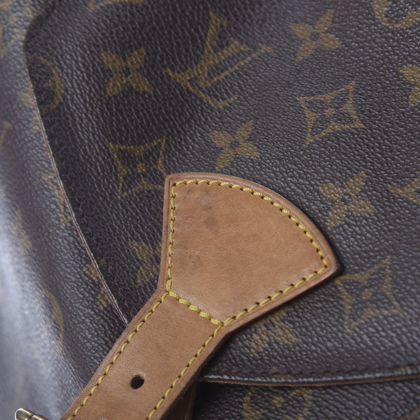 Monogram Montsouris GM Backpack