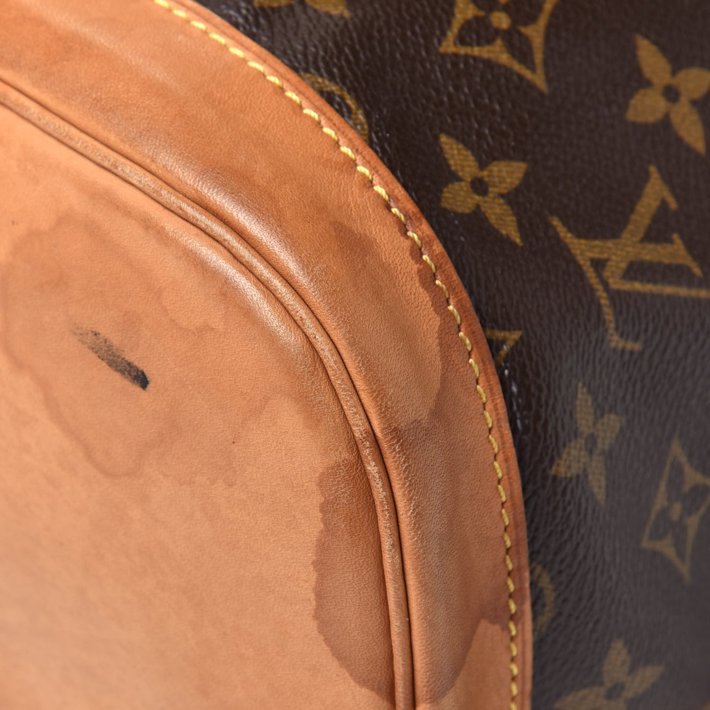 Monogram Montsouris GM Backpack