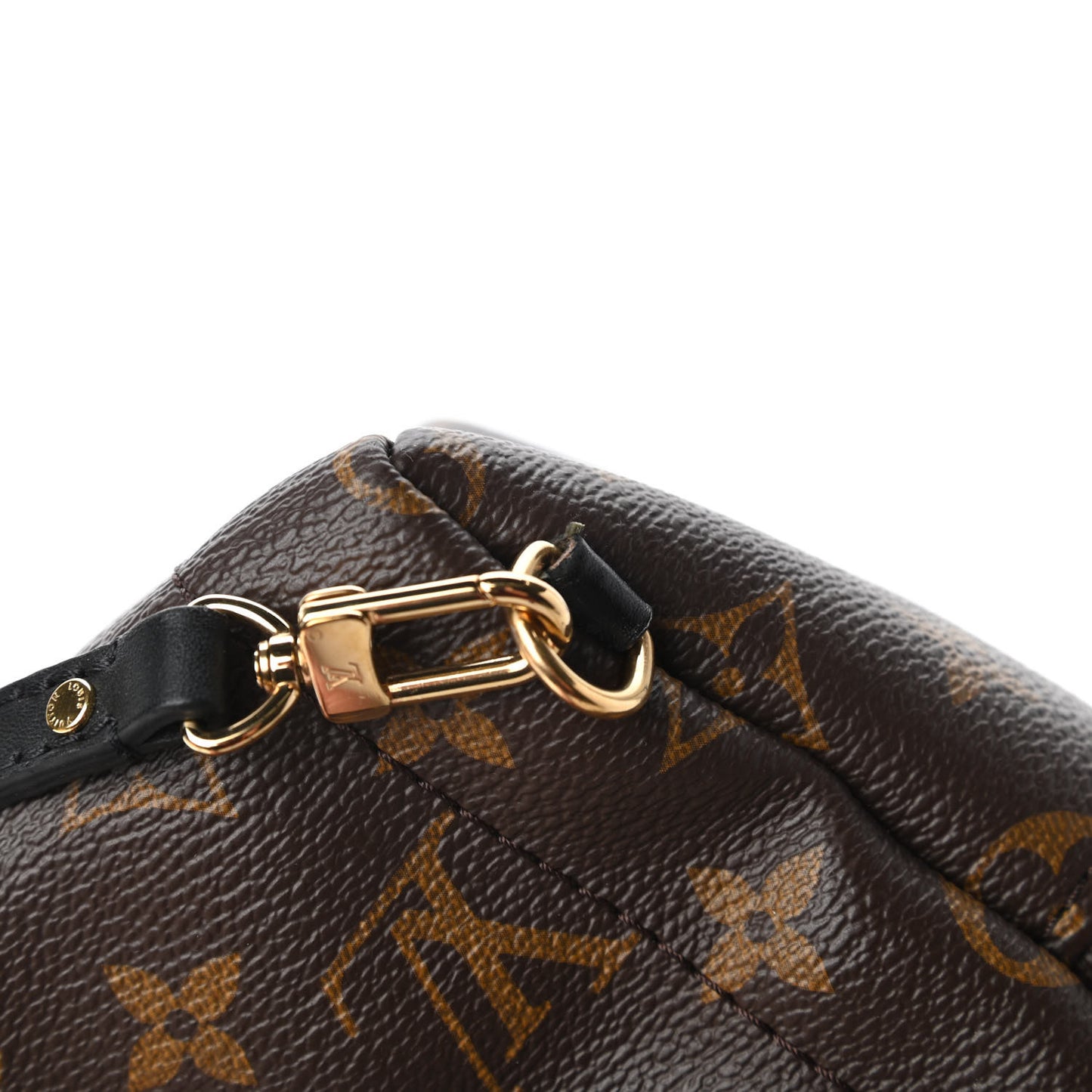 Monogram Palm Springs Backpack Mini