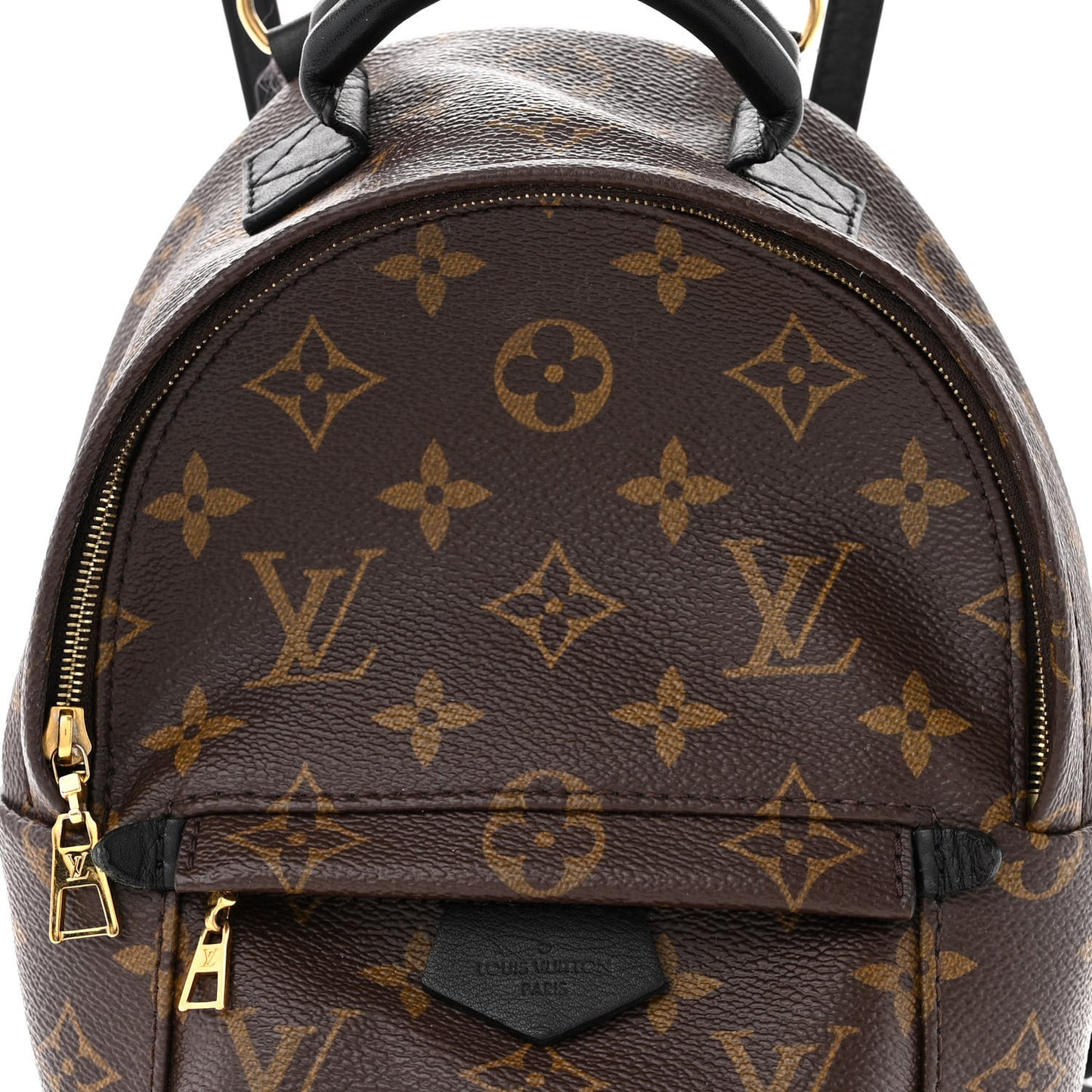 Monogram Palm Springs Backpack Mini