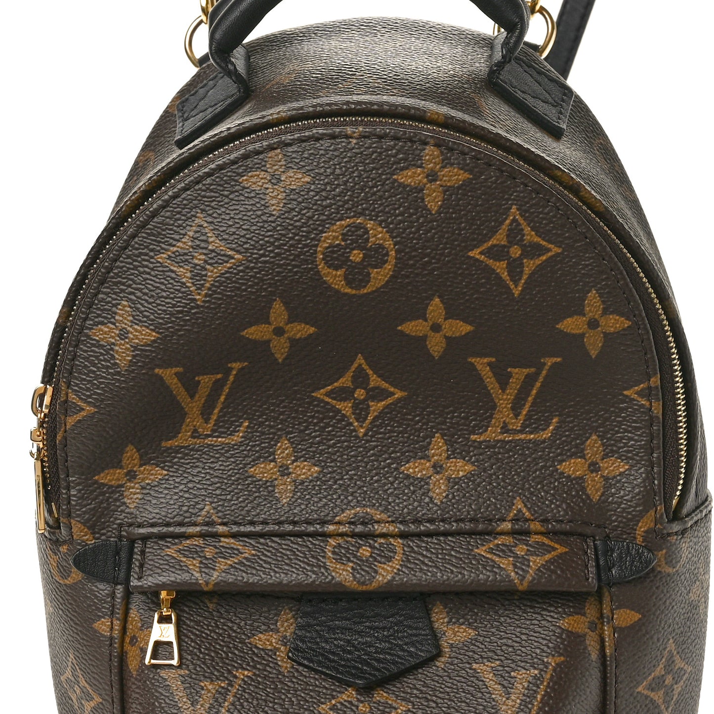 Monogram Palm Springs Backpack Mini