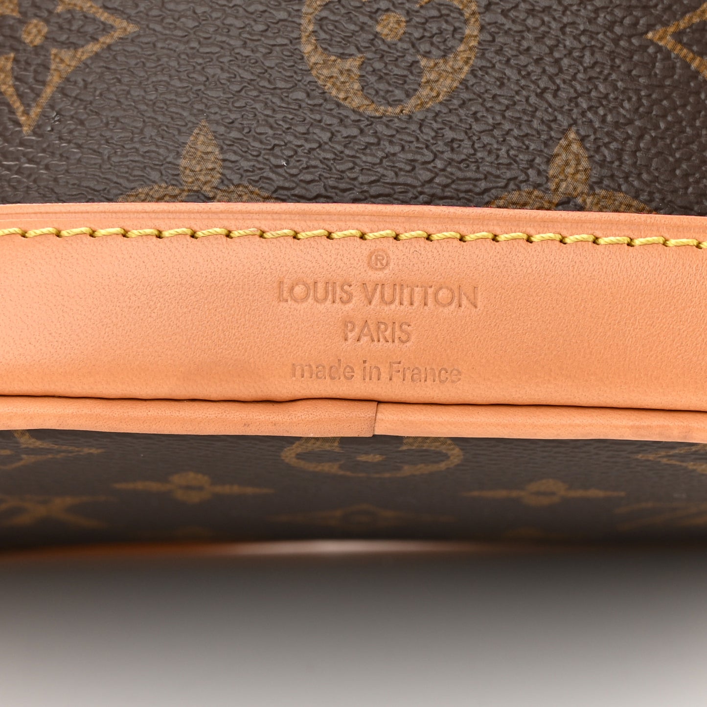 Monogram Nano Noe NV