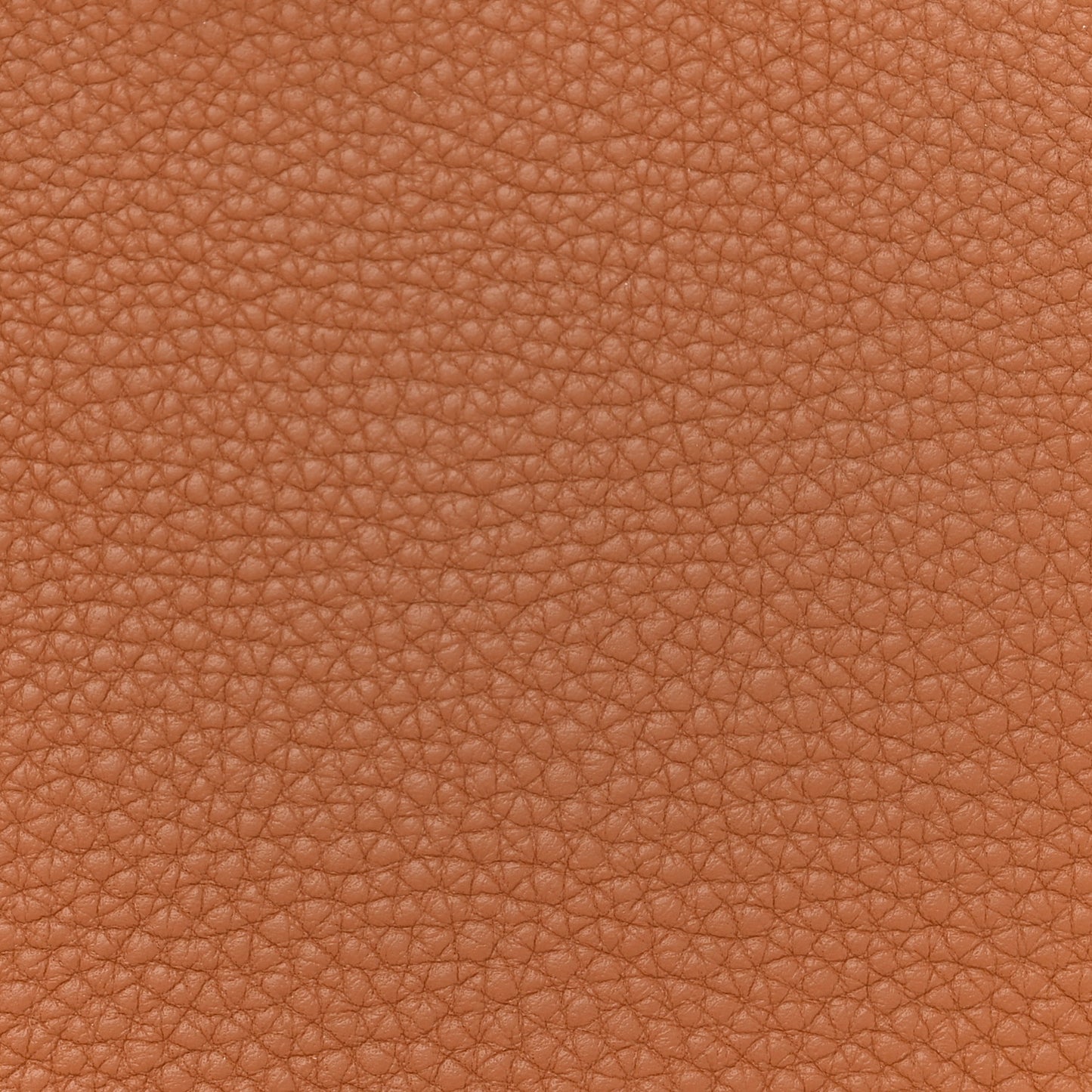 Togo Birkin 25 Gold