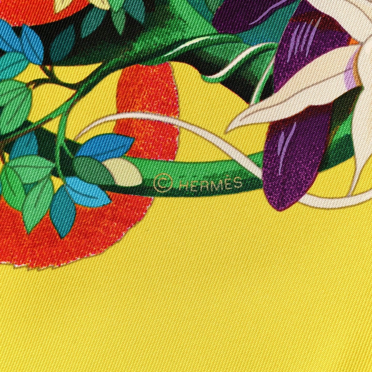 Silk Au Coeur de la Vie Scarf 90 Jaune Vif Turquoise Vert