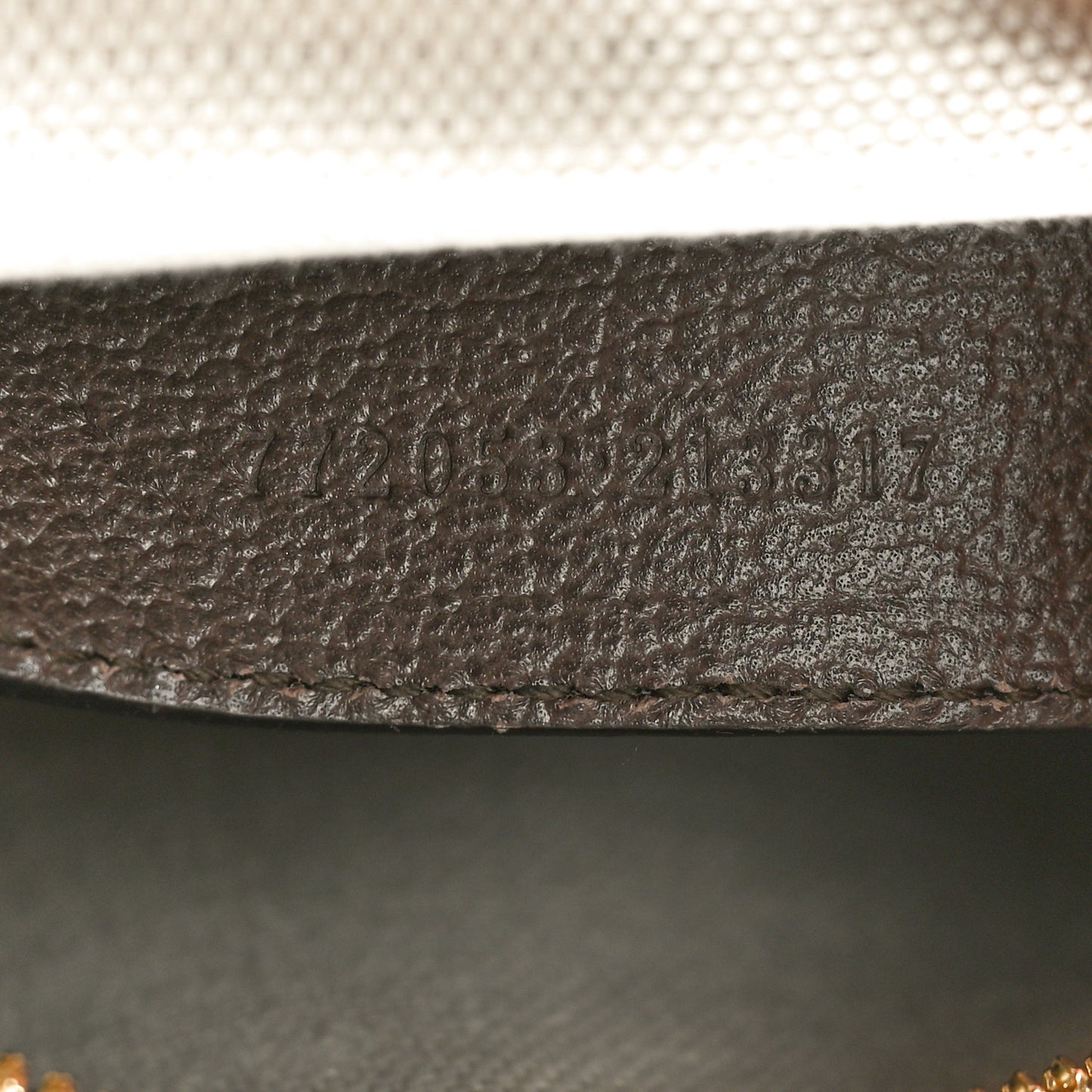 GG Supreme Monogram Textured Dollar Calfskin Web Mini Ophidia Top Handle Bag Beige Ebony New Acero