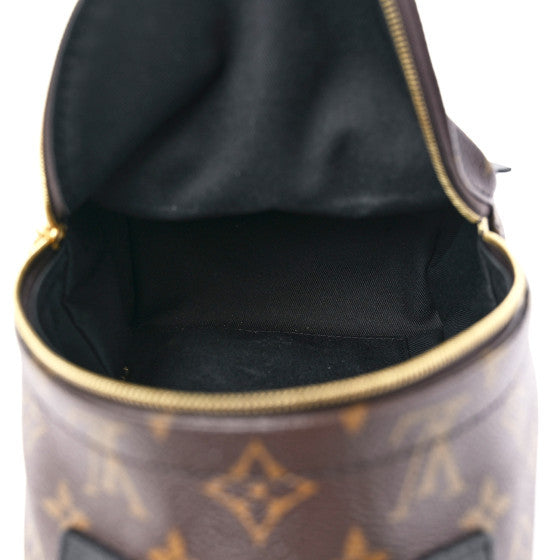 Monogram Palm Springs Backpack Mini