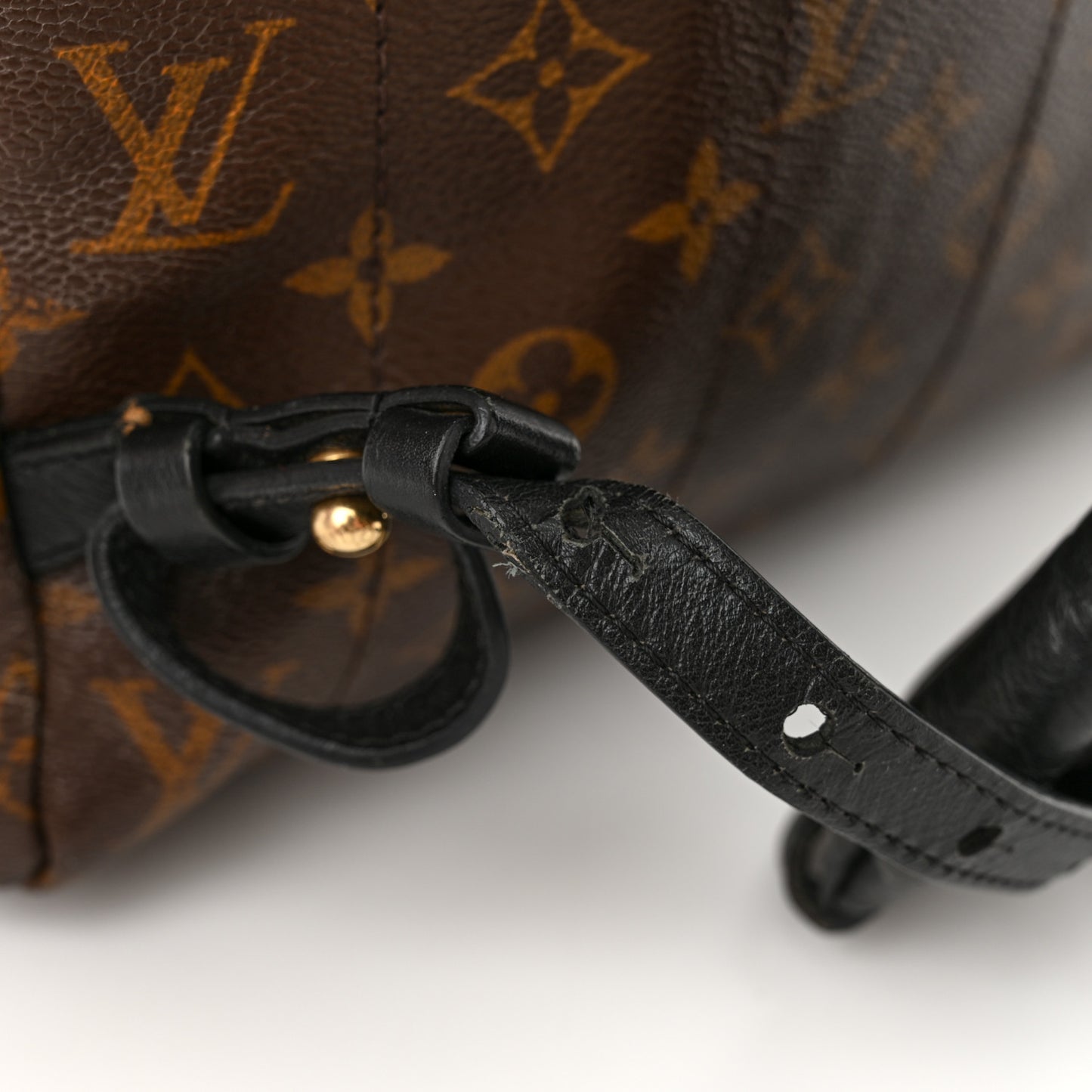 Monogram Palm Springs Backpack MM