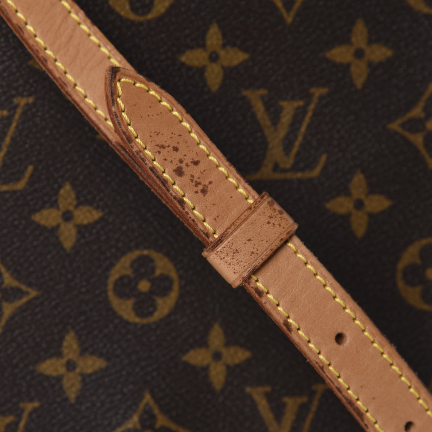 Monogram Musette Salsa