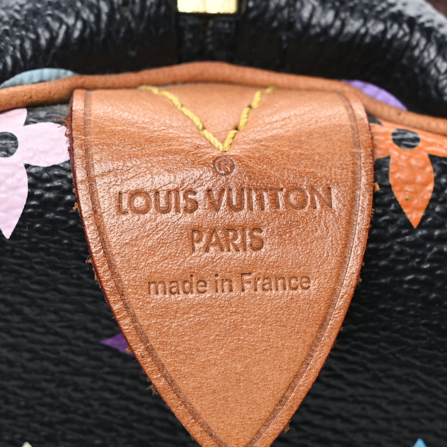 Monogram Multicolor Speedy 30 Black