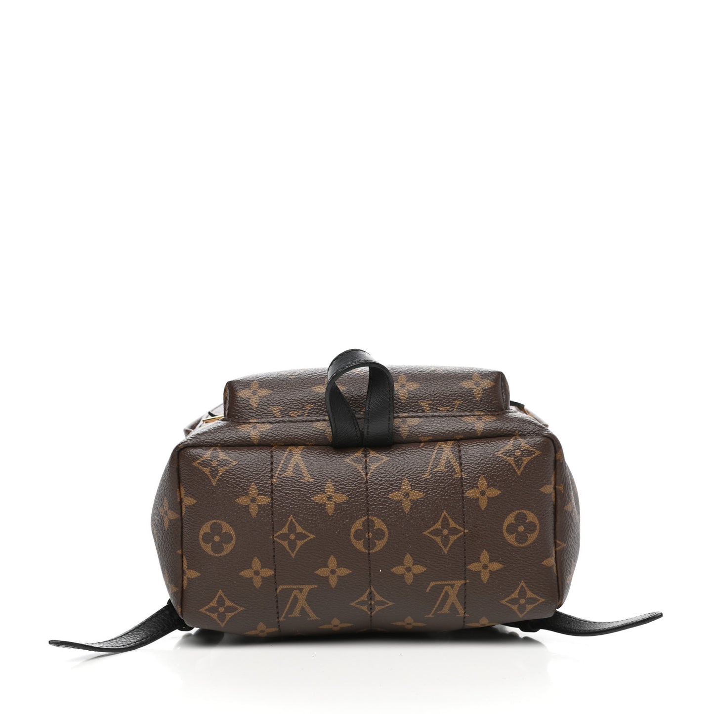 Monogram Palm Springs Backpack PM