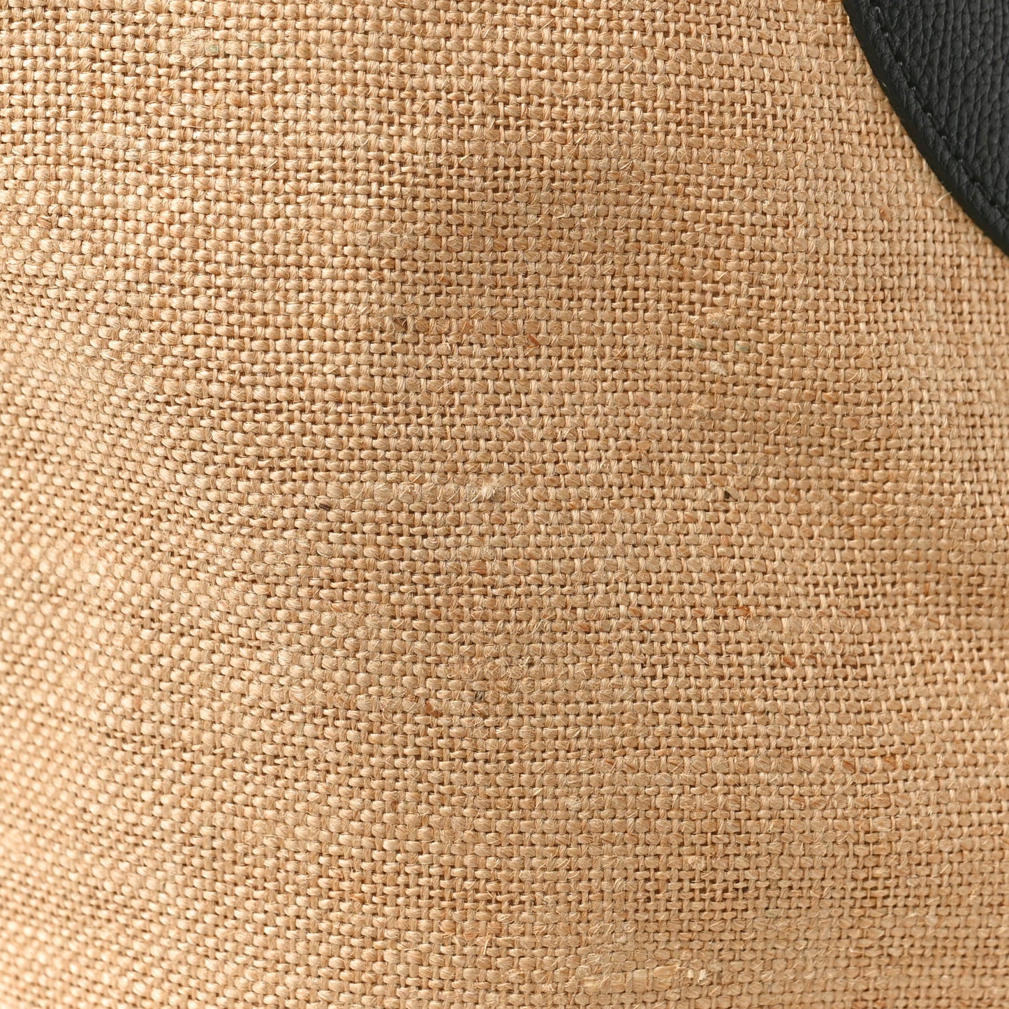 Raffia Logo Print Medium The Giant Reversible Tote Black