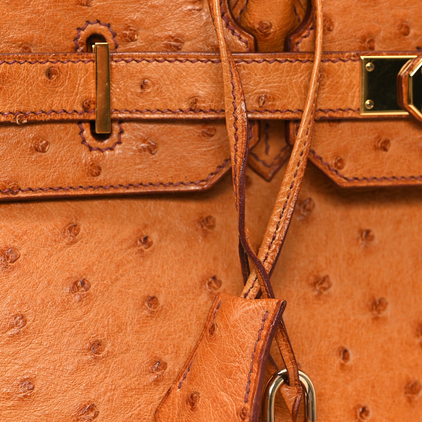 Ostrich Birkin 35 Cognac