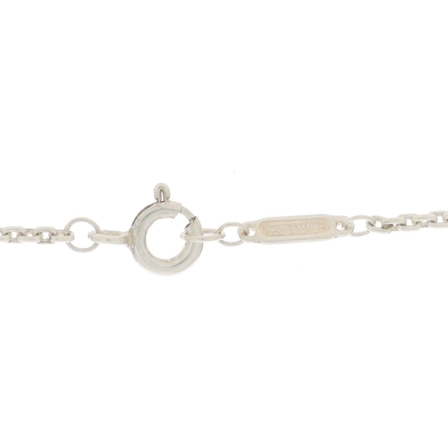 Sterling Silver HardWear Link Pendant Necklace