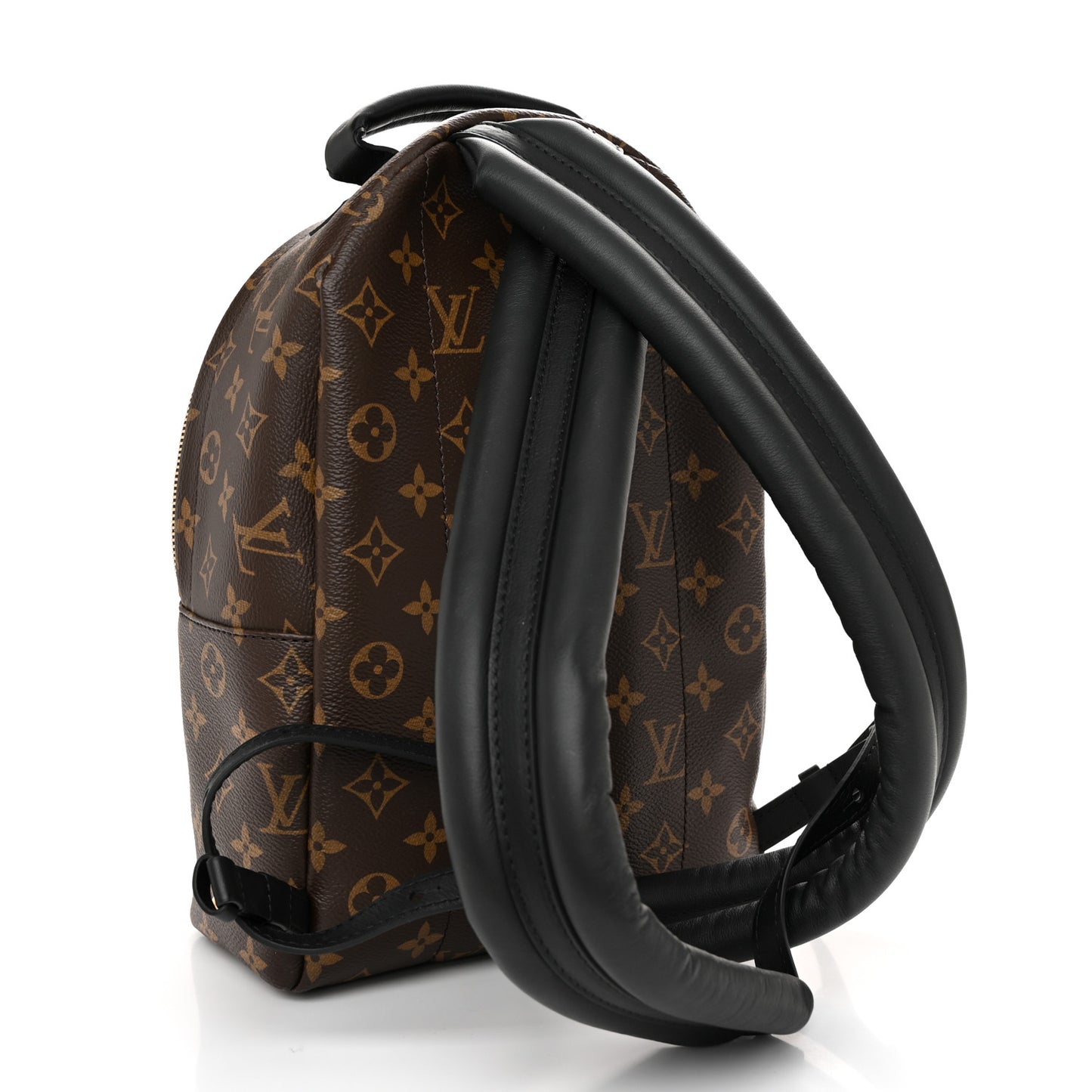Monogram Palm Springs Backpack PM