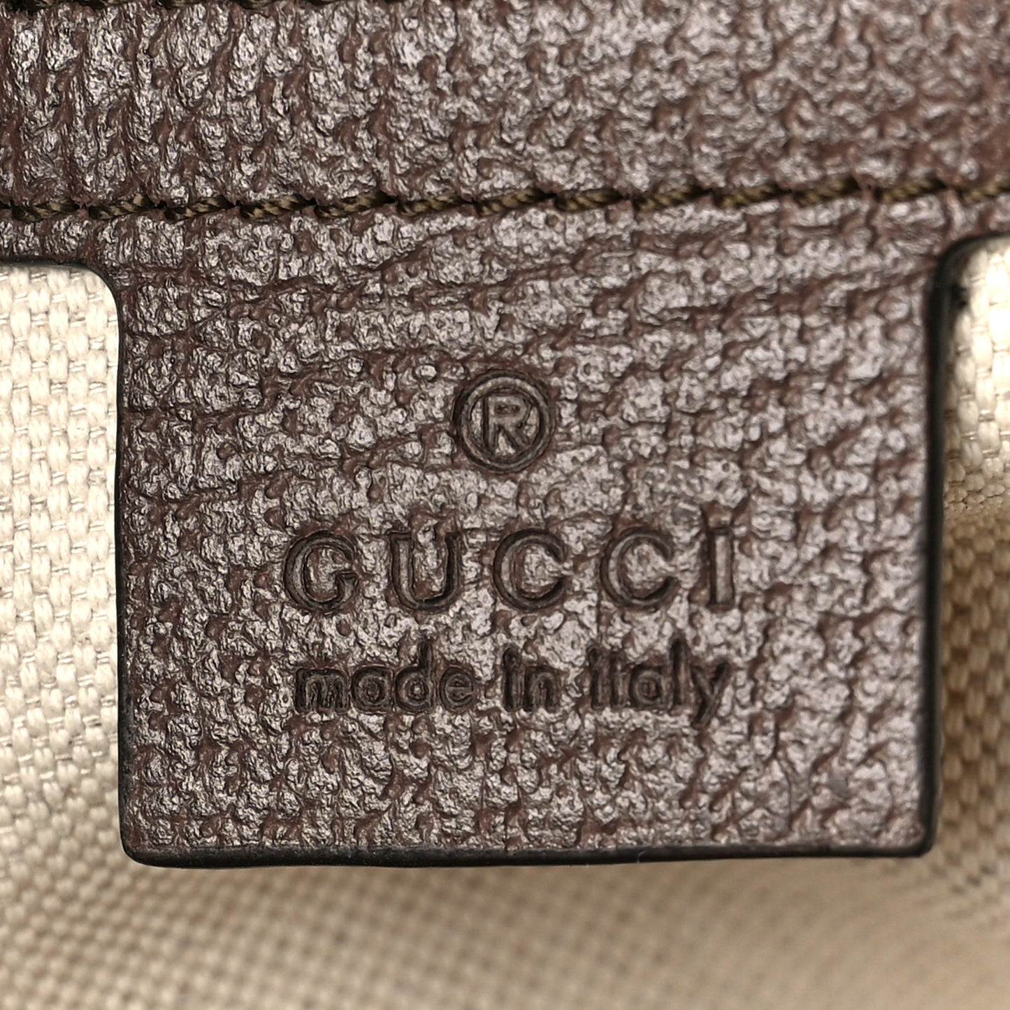 GG Supreme Monogram Medium Ophidia Day Backpack Brown