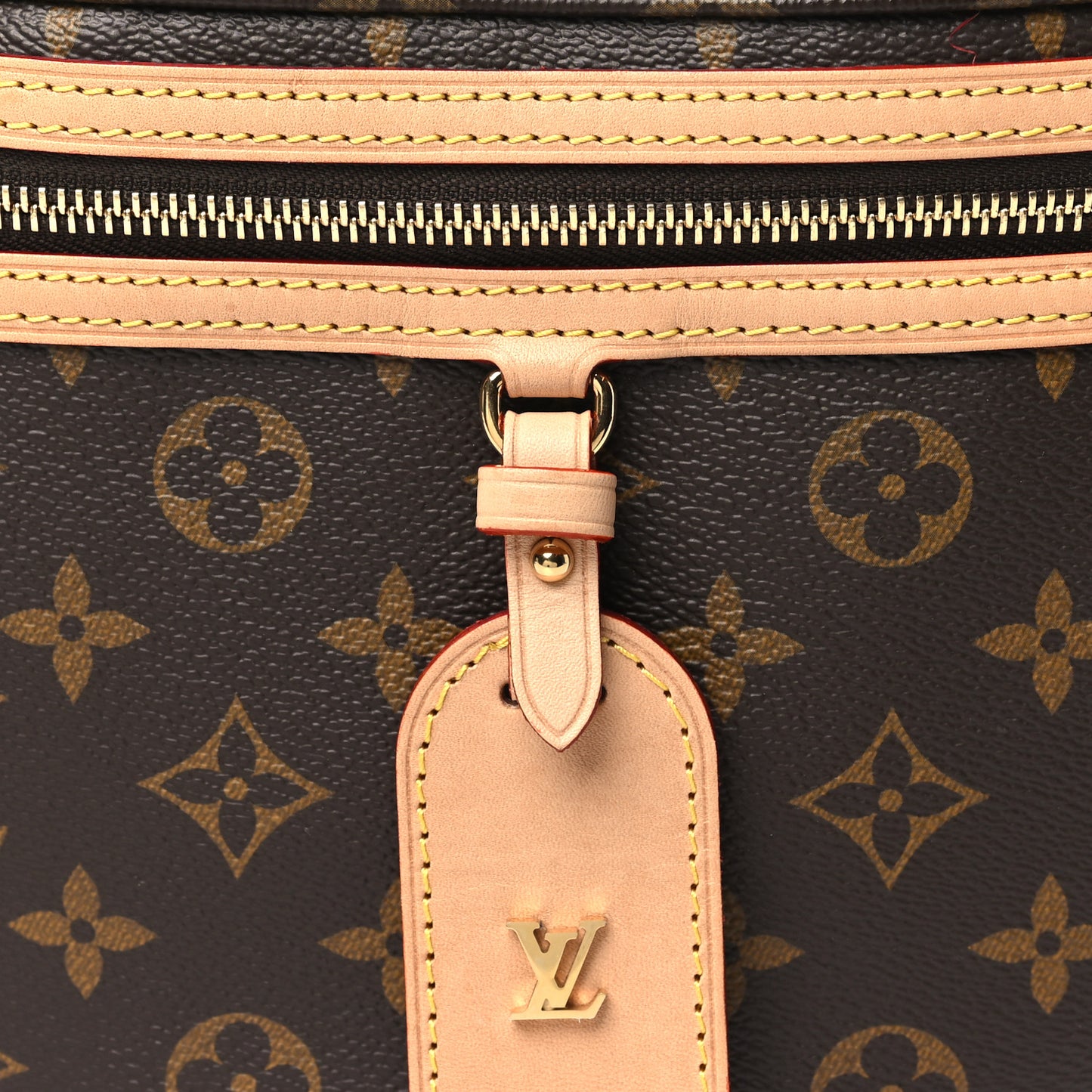 Monogram High Rise Bumbag