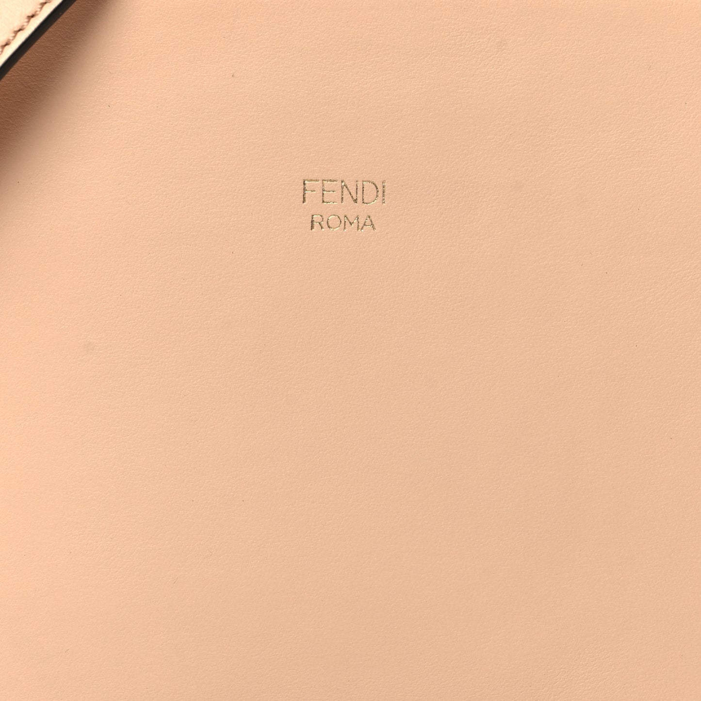Vitello Century Opaco F is Fendi Camera Case Amido