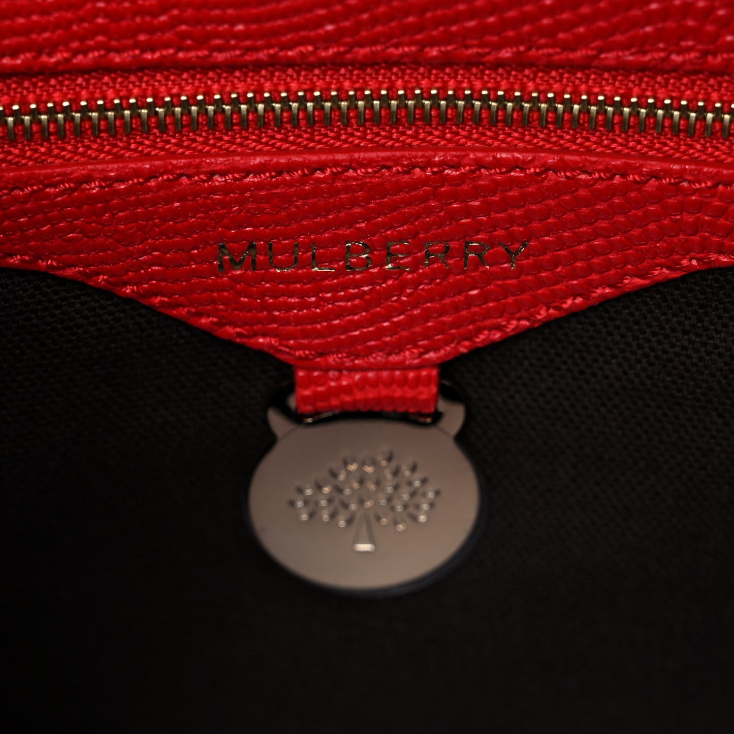 Lizard Embossed Calfskin Bayswater Shoulder Bag Bright Red