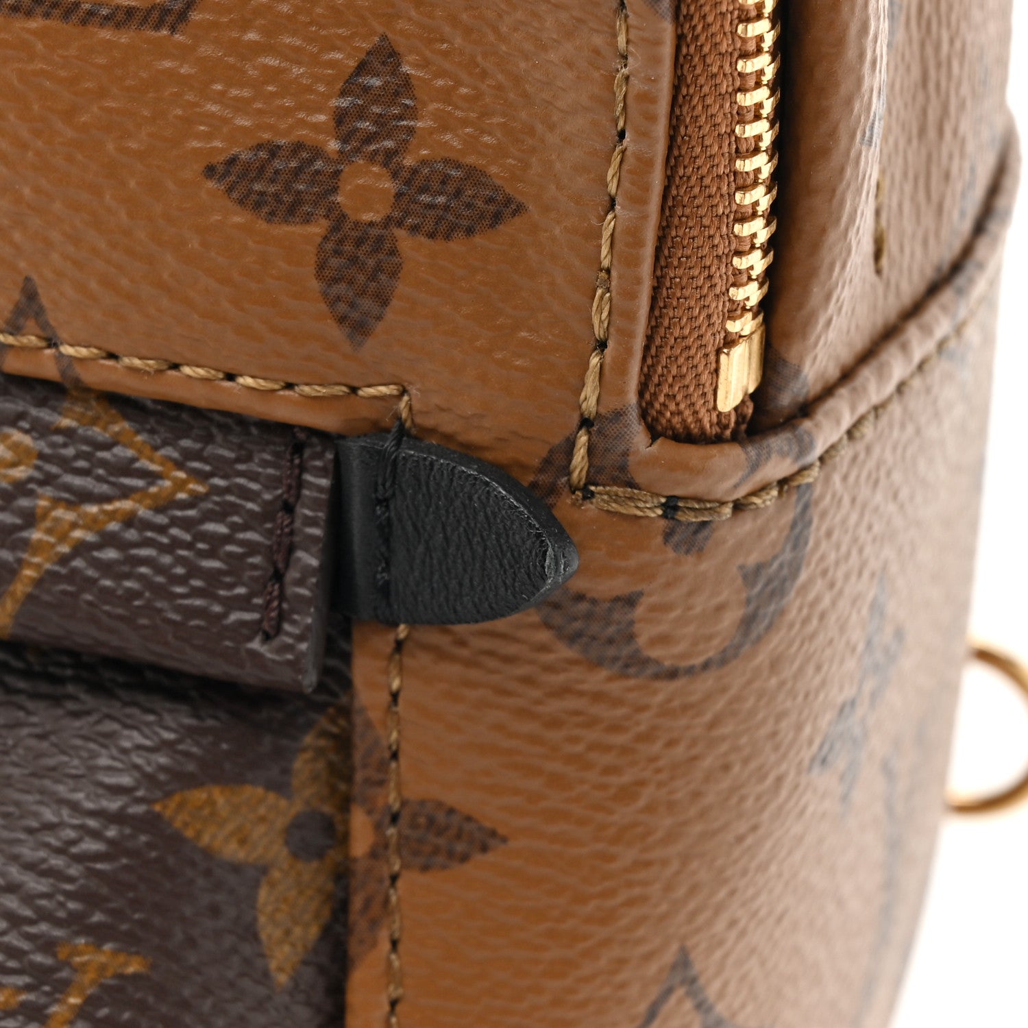 Louis Vuitton Reverse Monogram Palm Springs Backpack Mini 10 of 11