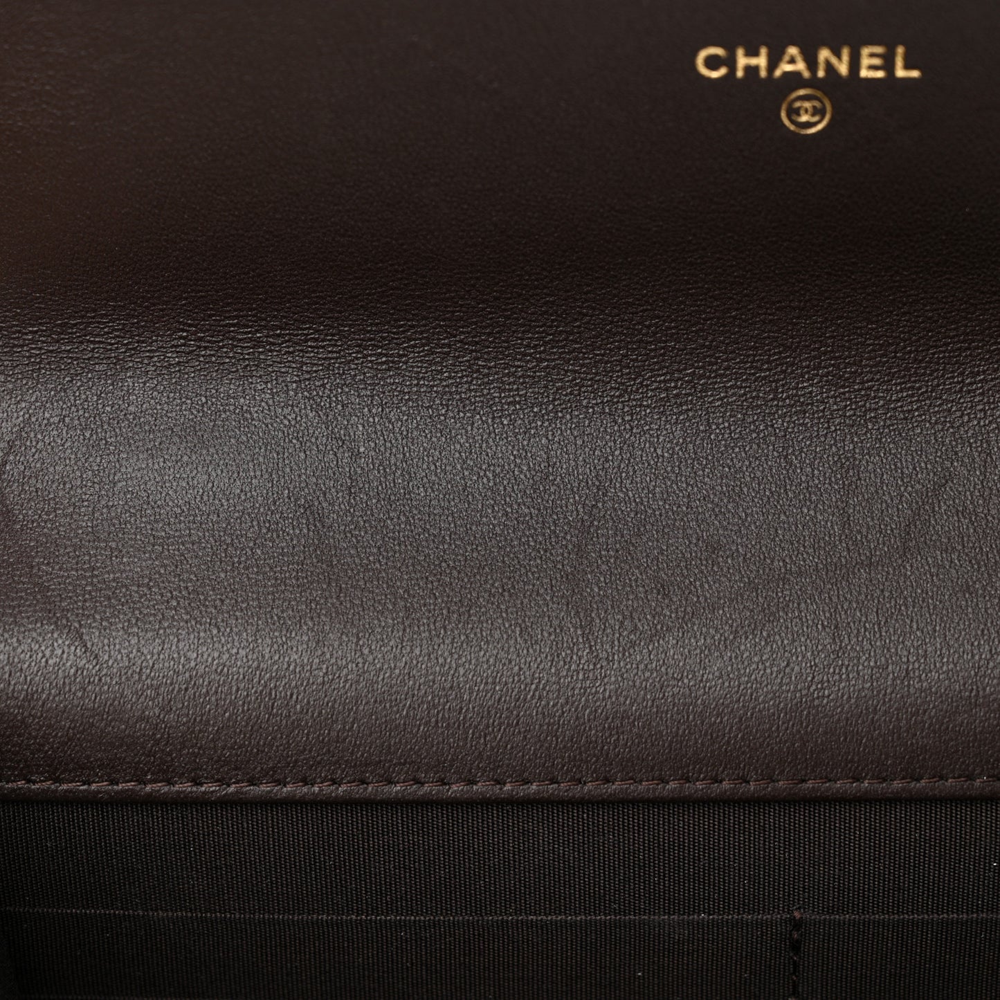 Lambskin Quilted Chanel 19 Wallet On Chain WOC Dark Brown