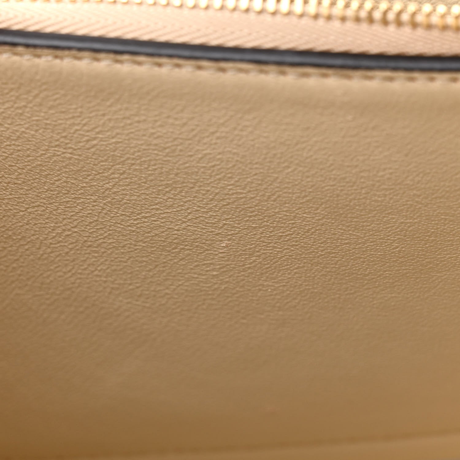 Celine Shiny Smooth Calfskin Medium Frame Shoulder Bag Chalk Mastic 11 of 16