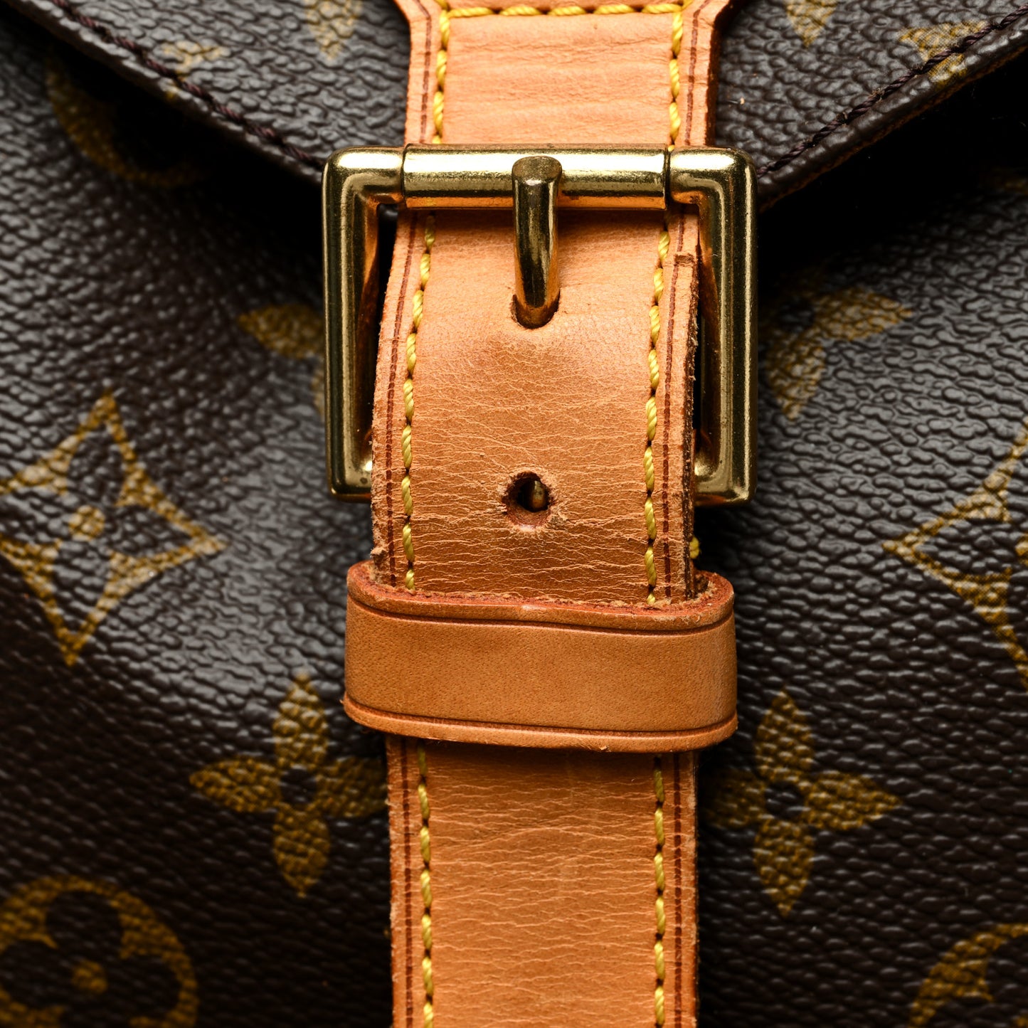 Monogram Montsouris GM Backpack