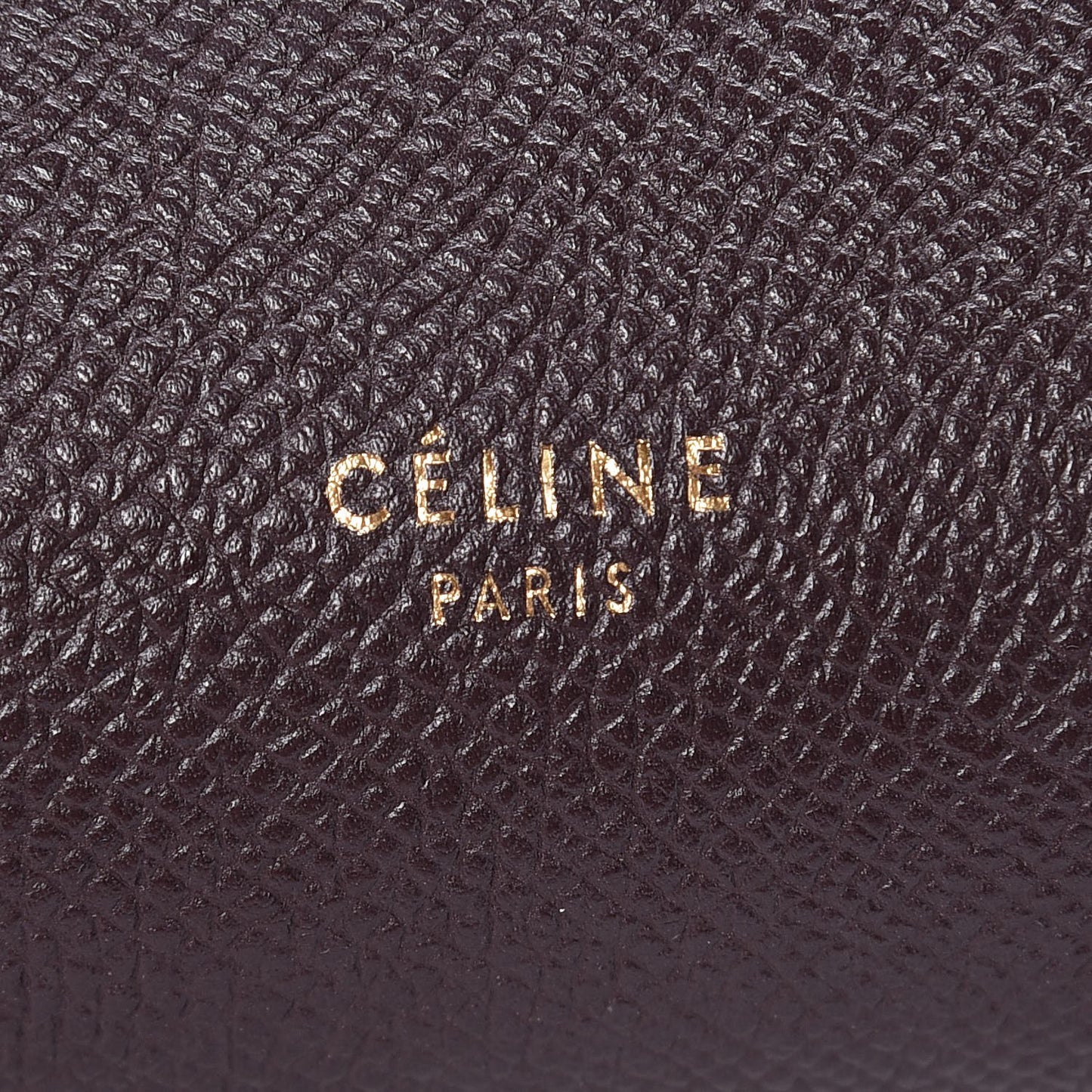 Grained Calfskin Nano Belt Bag Brown