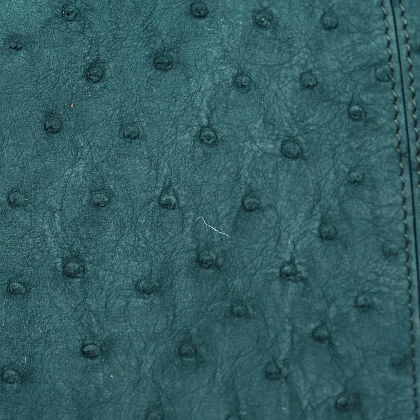 Ostrich Shiny Nappa Large Peekaboo X-Lite Green