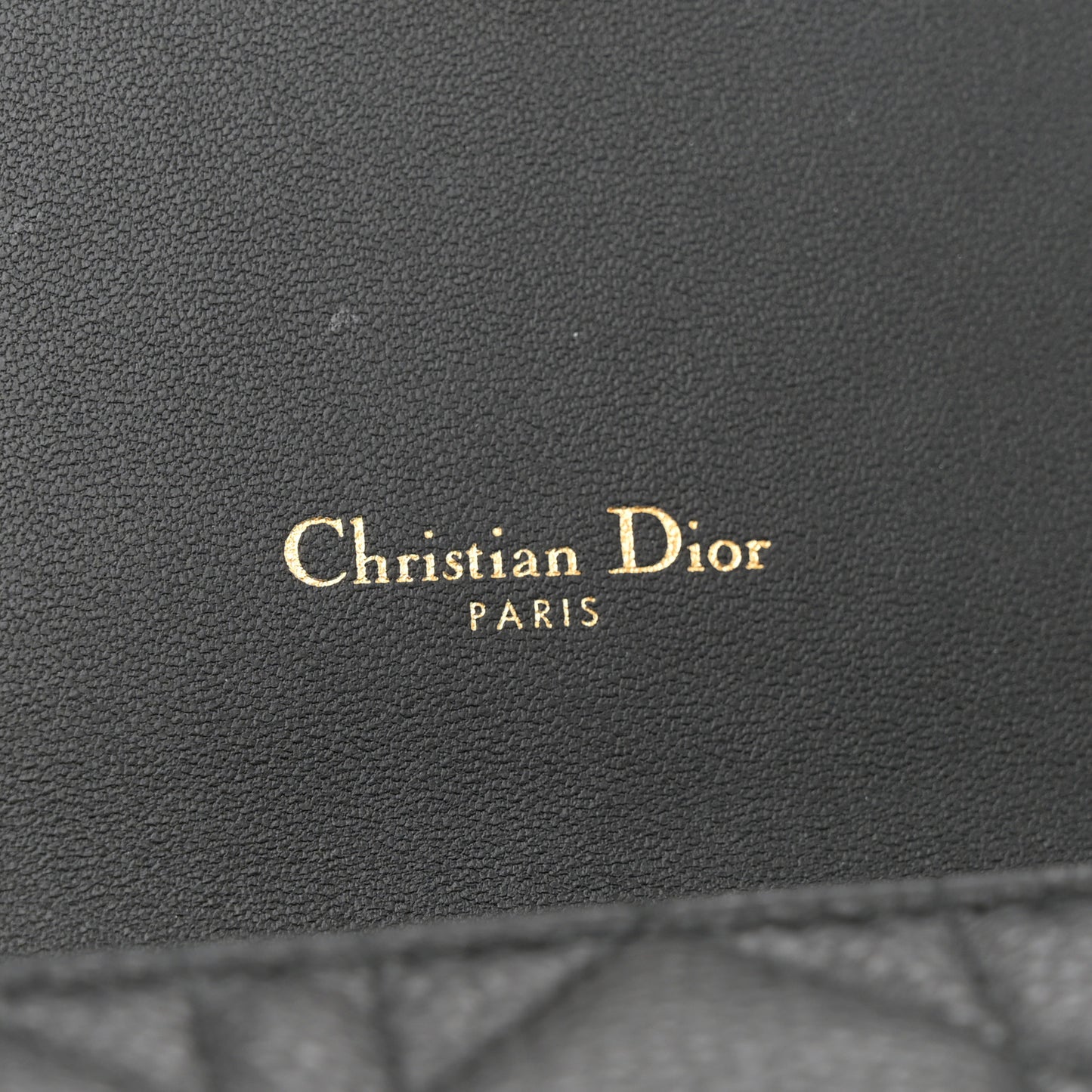 Supple Calfskin Caro Pouch with Chain Black