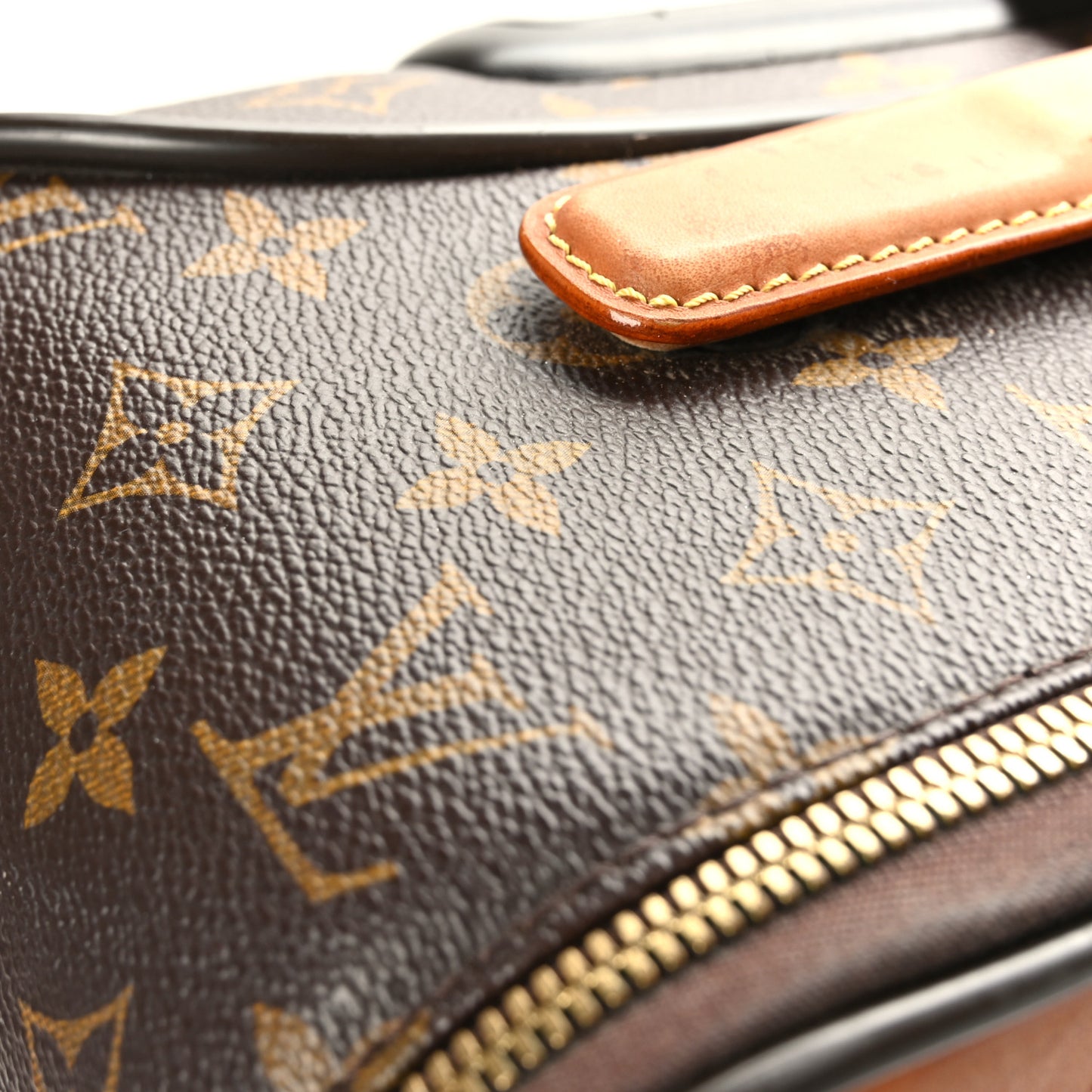 Monogram Pegase 55 Business