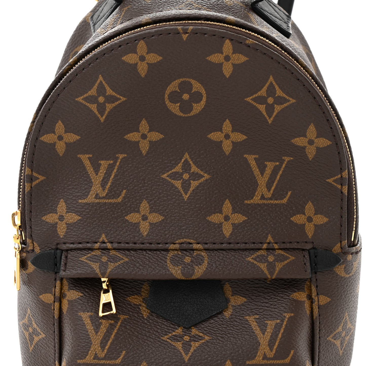 Monogram Palm Springs Backpack Mini