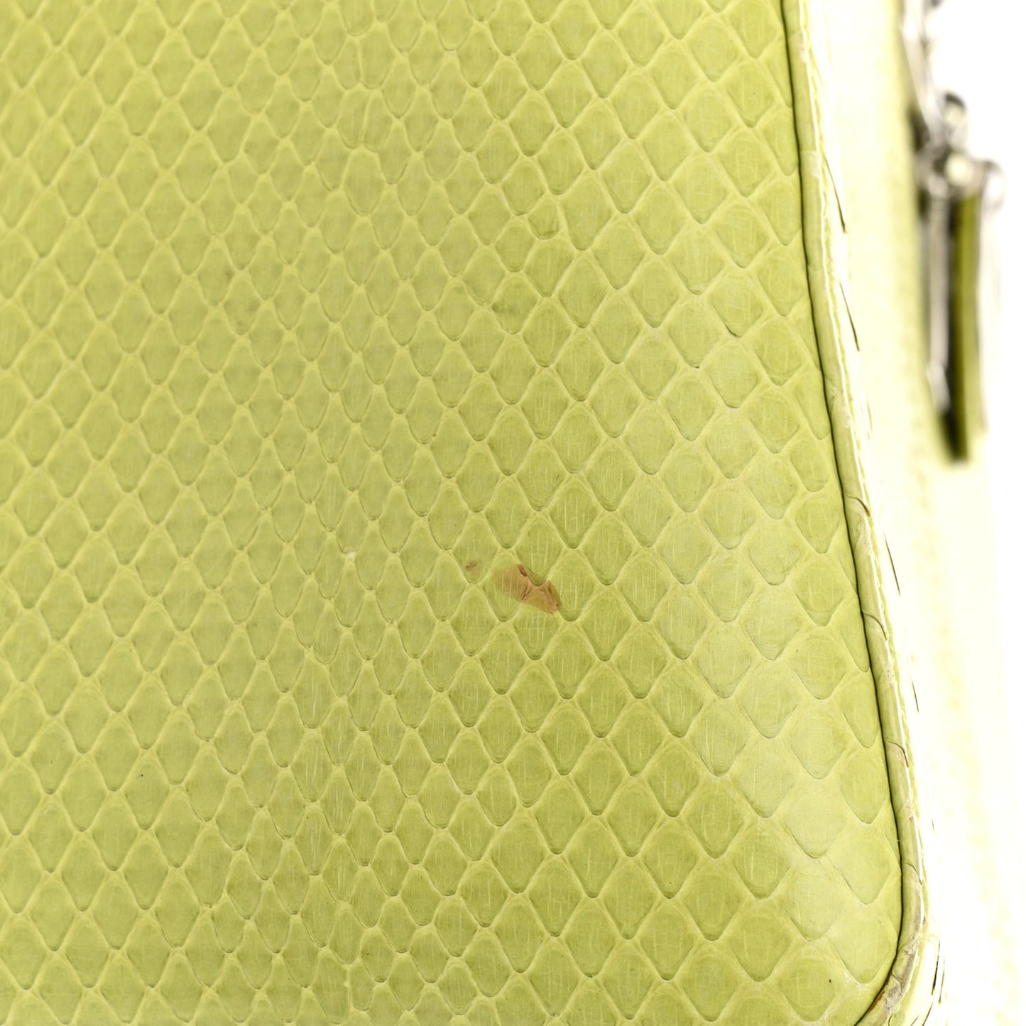 Snakeskin Medium Lady Dior Green