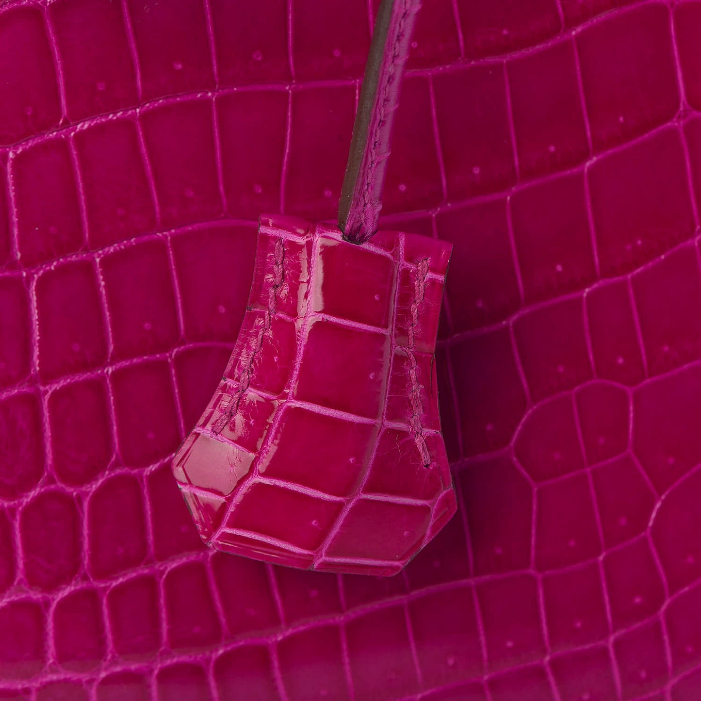 Shiny Niloticus Crocodile Birkin 25 Rose Scheherazade