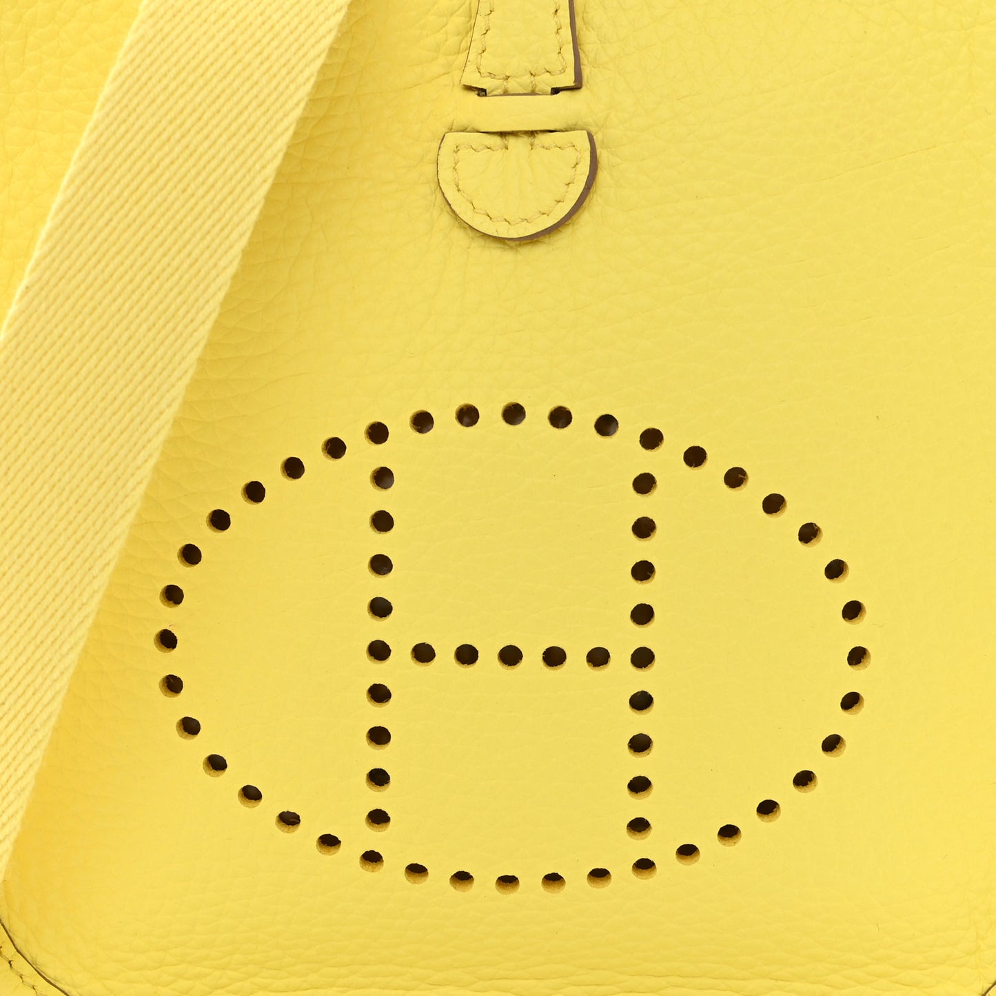 Taurillon Clemence Evelyne TPM Limoncello