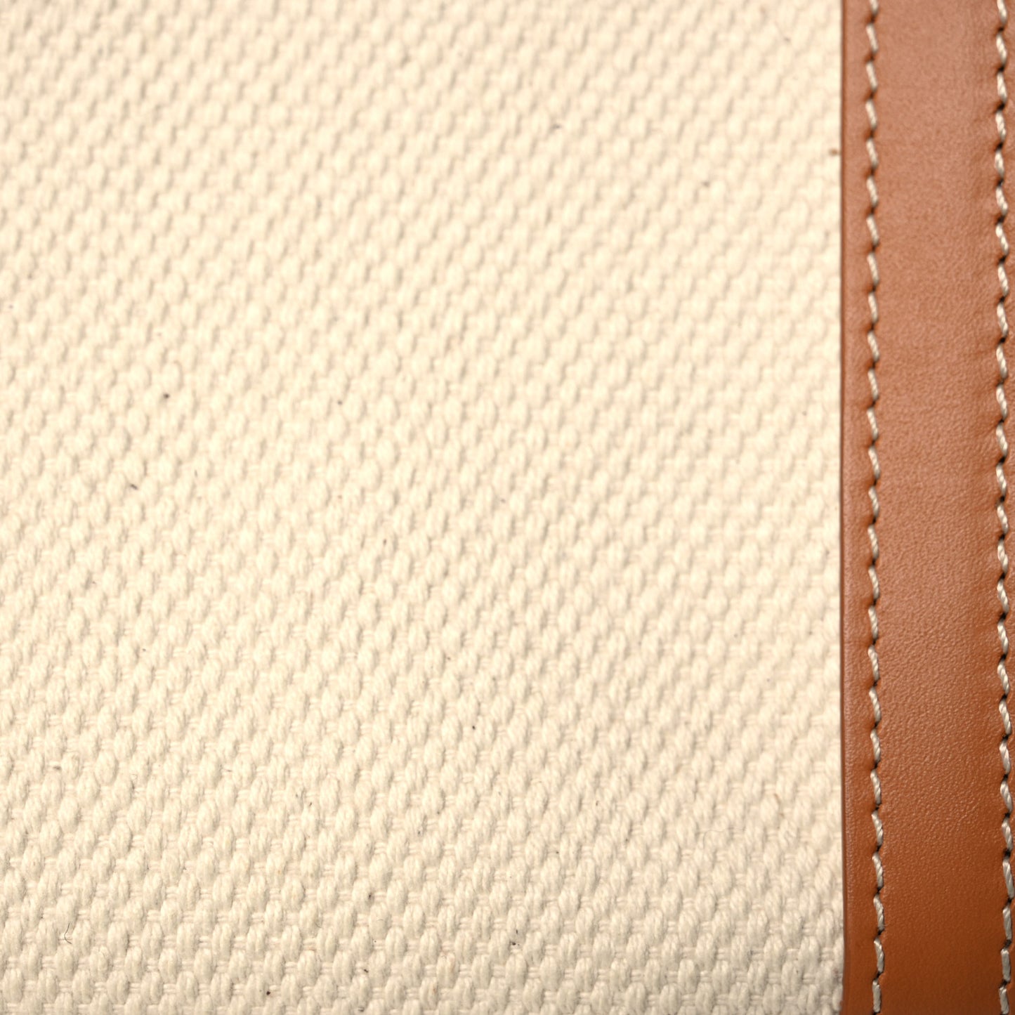 Canvas Calfskin Mini Vertical Cabas Natural Tan