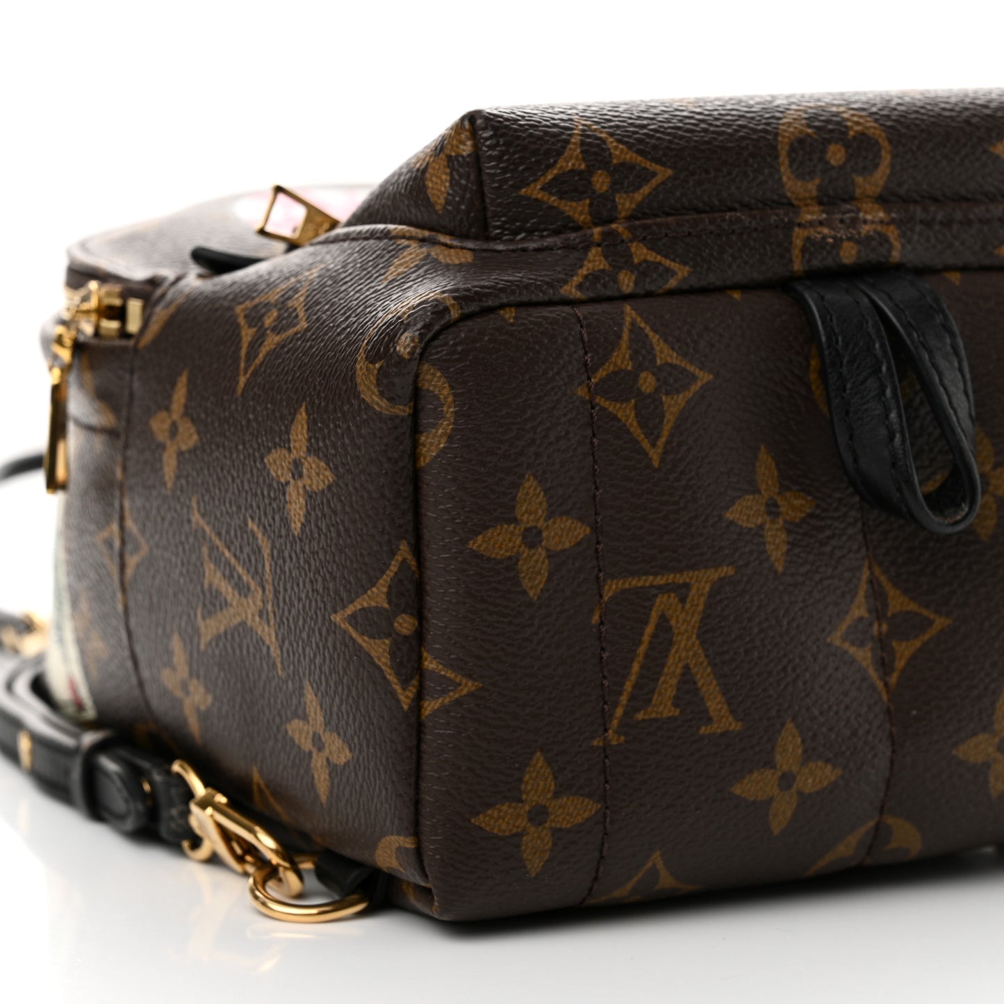Monogram World Tour Palm Springs Backpack Mini