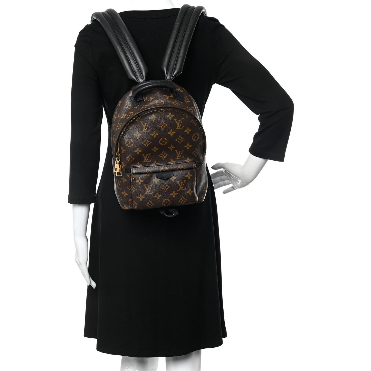 Monogram Palm Springs Backpack PM