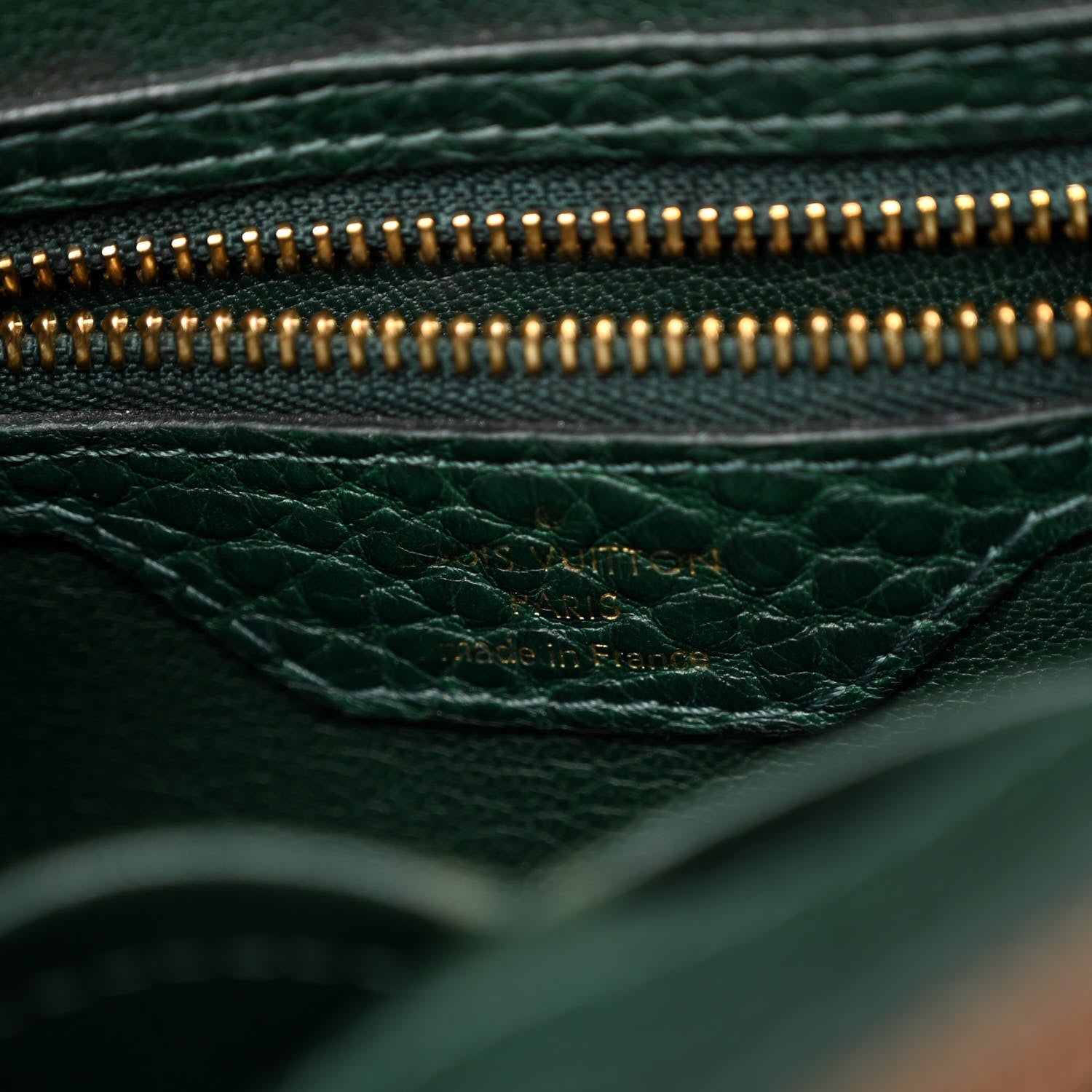Louis Vuitton Ostrich Lizard Exotique Majestueux Shoulder Bag Vert 6 of 13