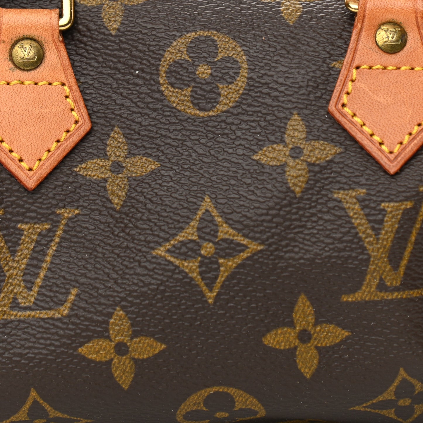 Monogram Mini Sac HL Speedy