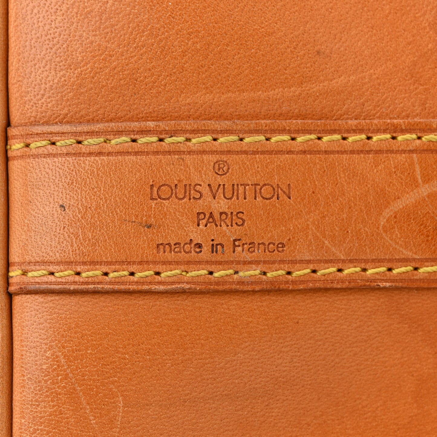 Monogram Randonnee GM Backpack