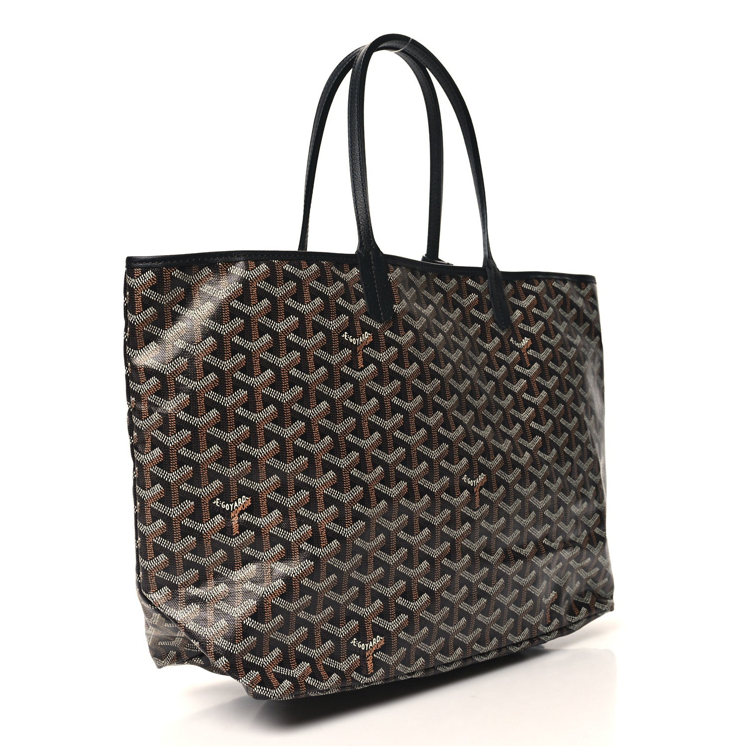 Goyard Goyardine Saint Louis PM Black 4 of 10