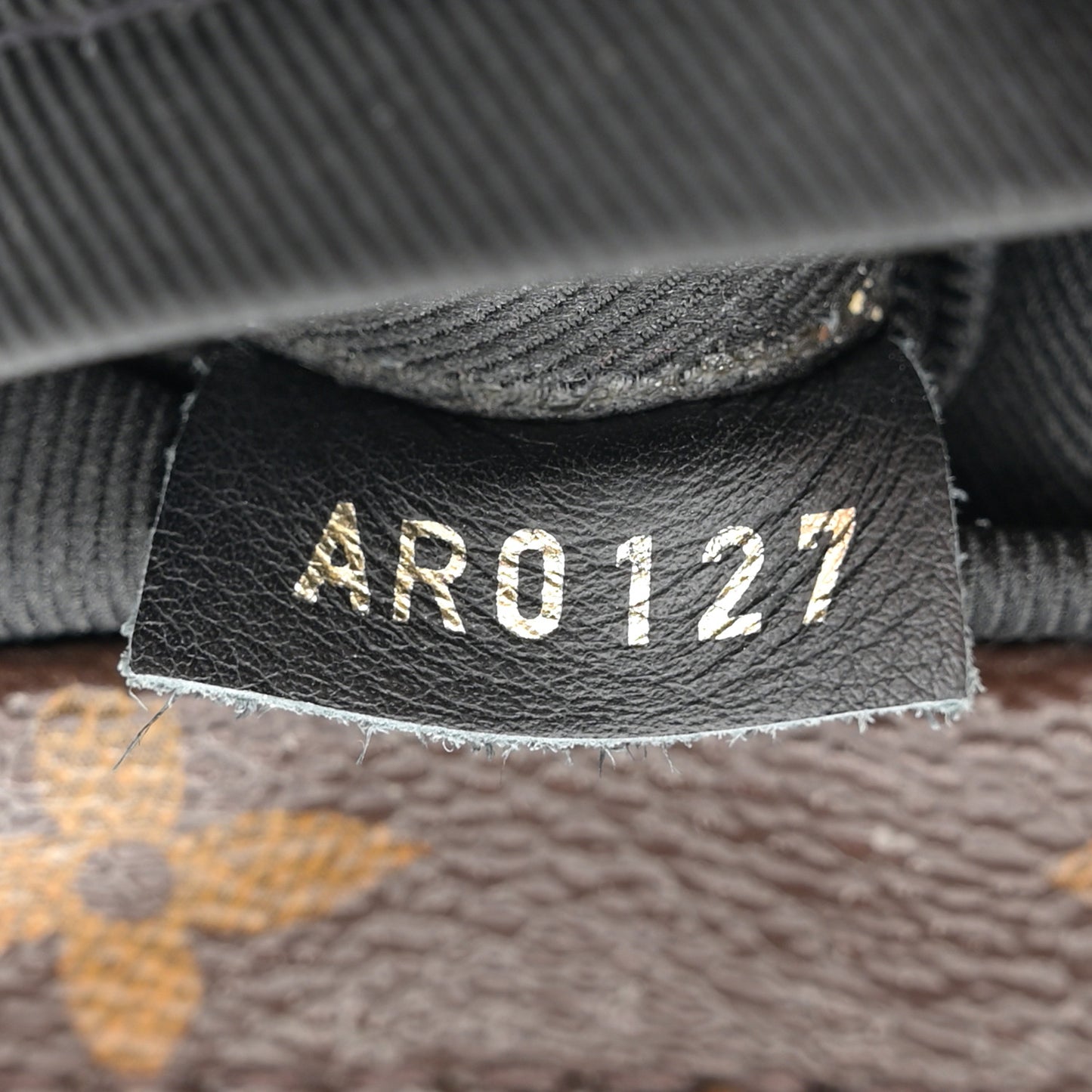 Monogram Palm Springs Backpack Mini