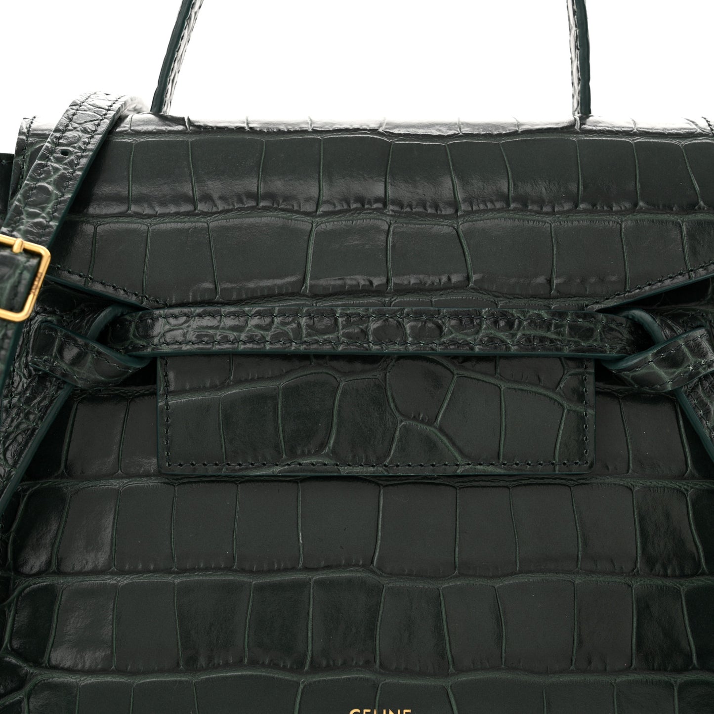 Calfskin Crocodile Embossed Nano Belt Bag Amazone