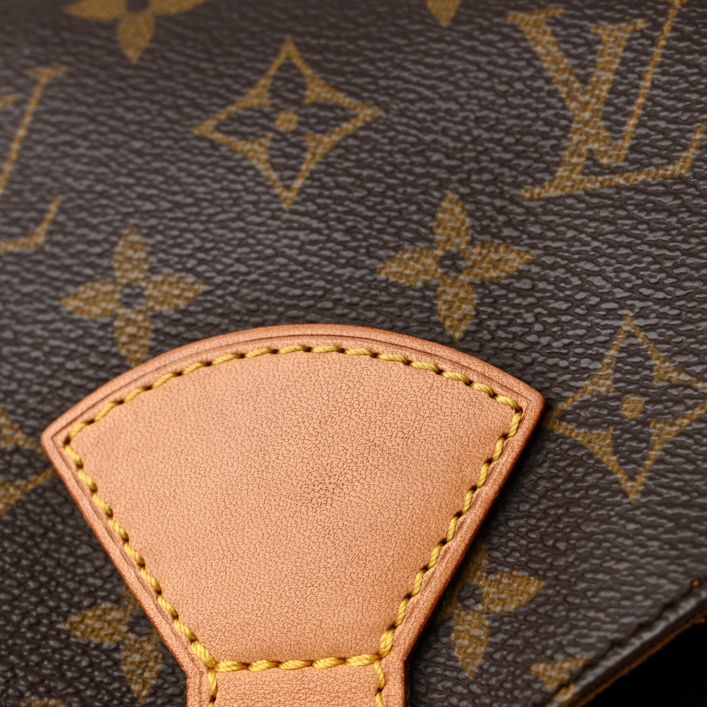 Monogram Montsouris GM Backpack