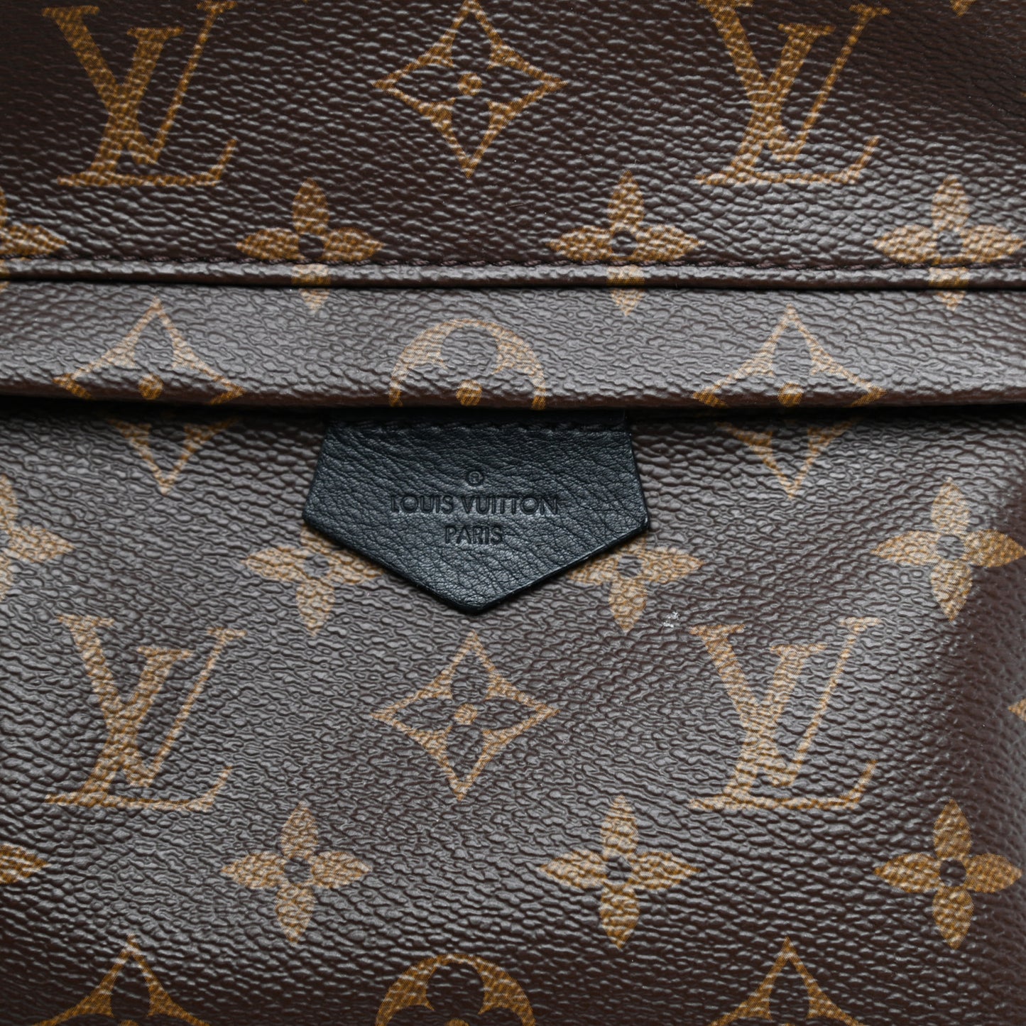 Monogram Palm Springs Backpack PM