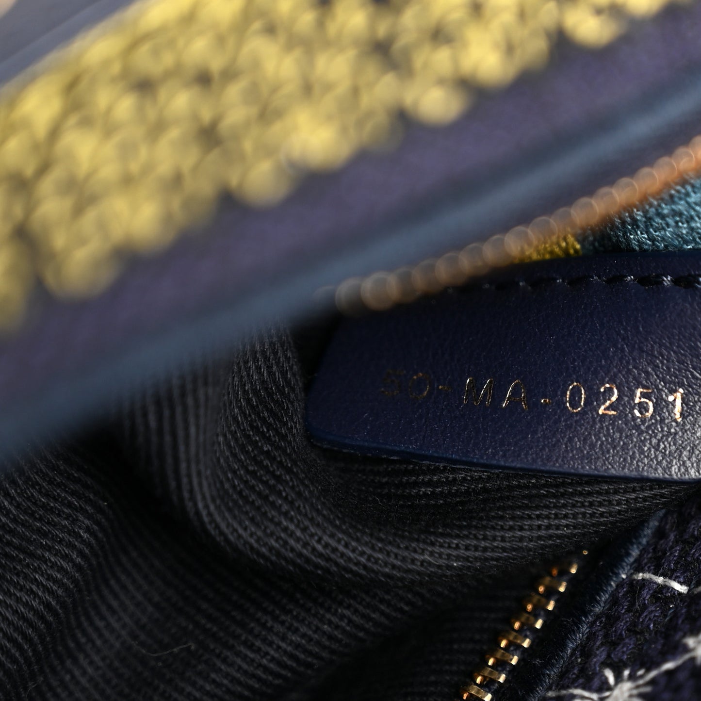 Canvas Embroidered Zodiac Medium Lady D-Lite Blue Multicolor