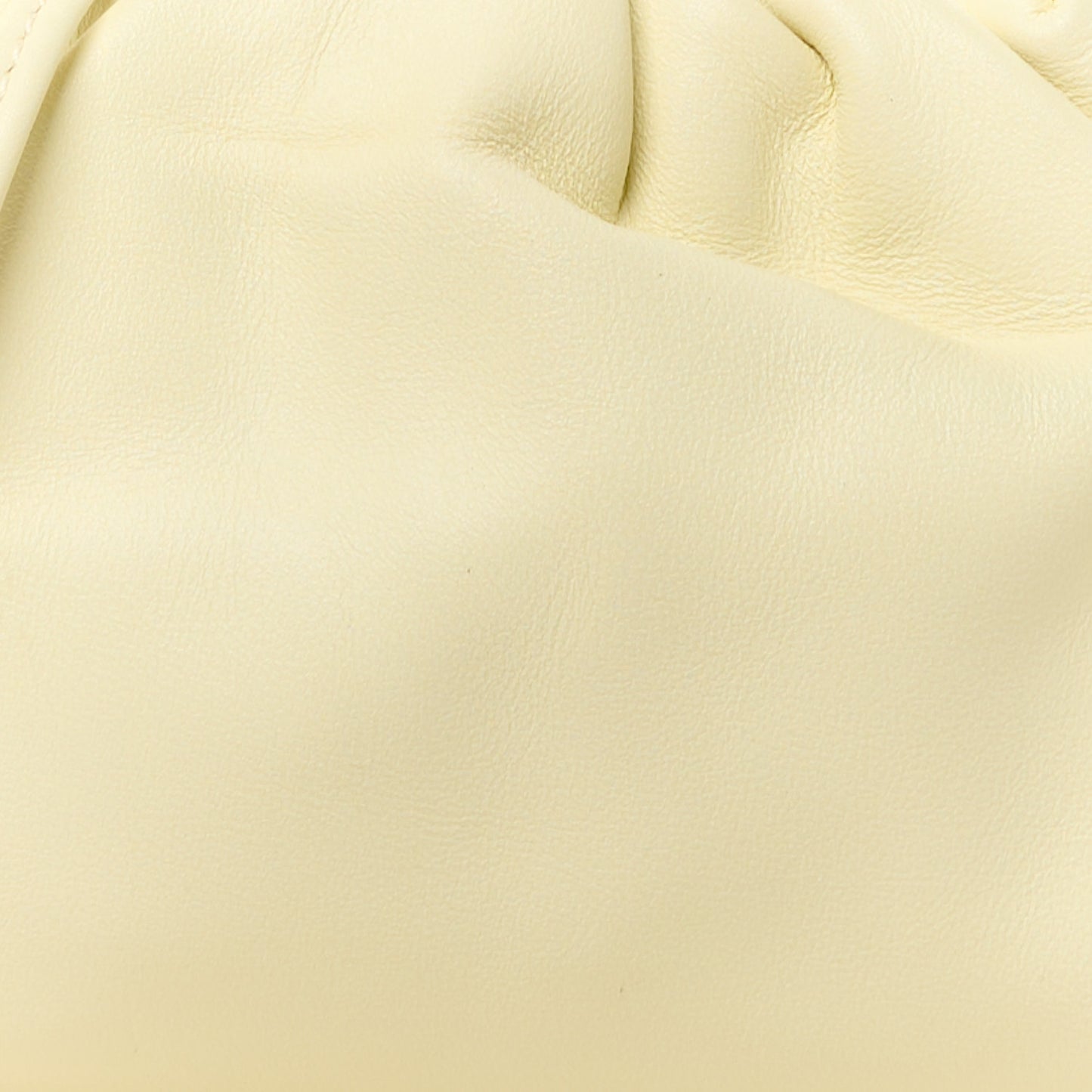 Butter Calfskin The Mini Pouch Zest Washed
