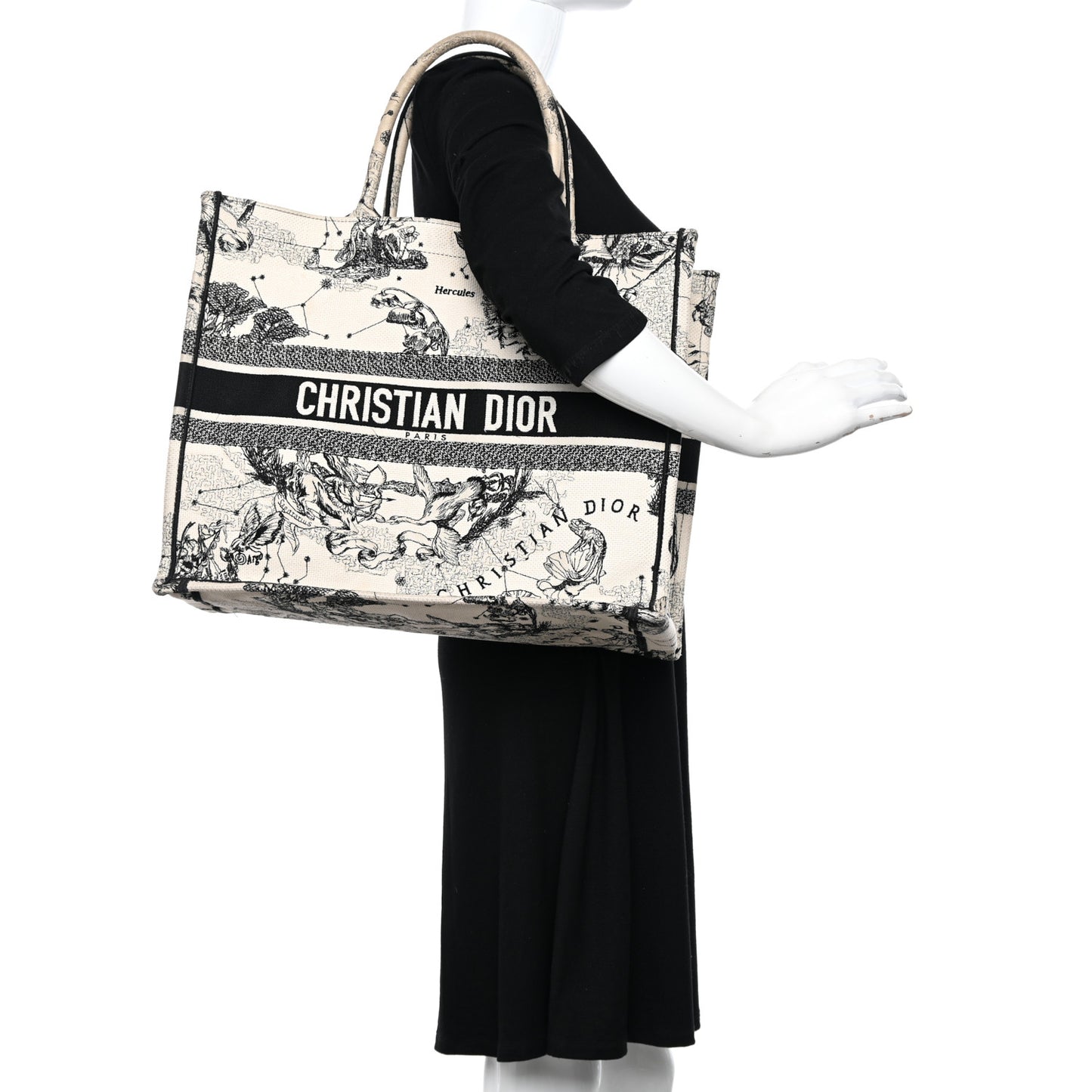 Canvas Embroidered Large Zodiac Toile De Jouy Book Tote Latte