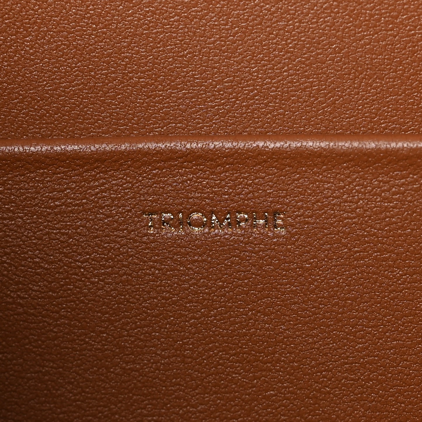 Natural Calfskin Medium Triomphe Tan