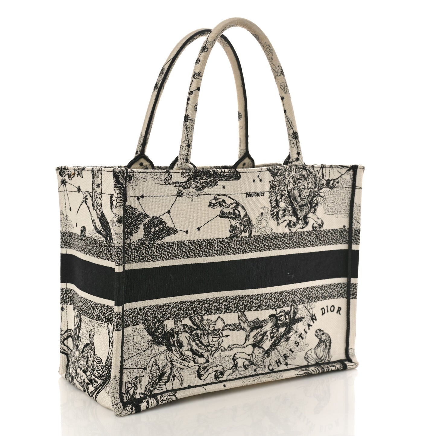 Canvas Embroidered Small Zodiac Toile De Jouy Book Tote Latte